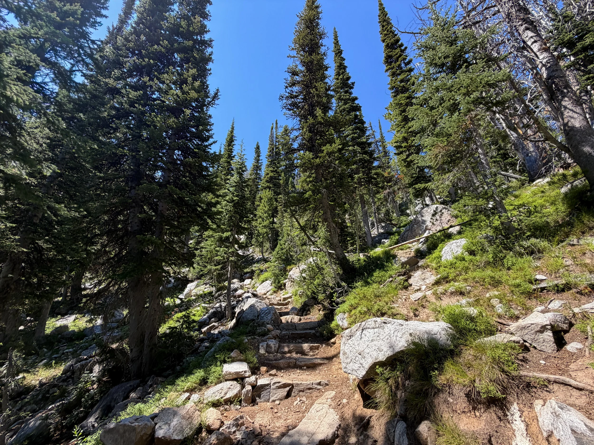 Surprise and Amphitheater Lakes Hike Grand Teton National Park Wyoming