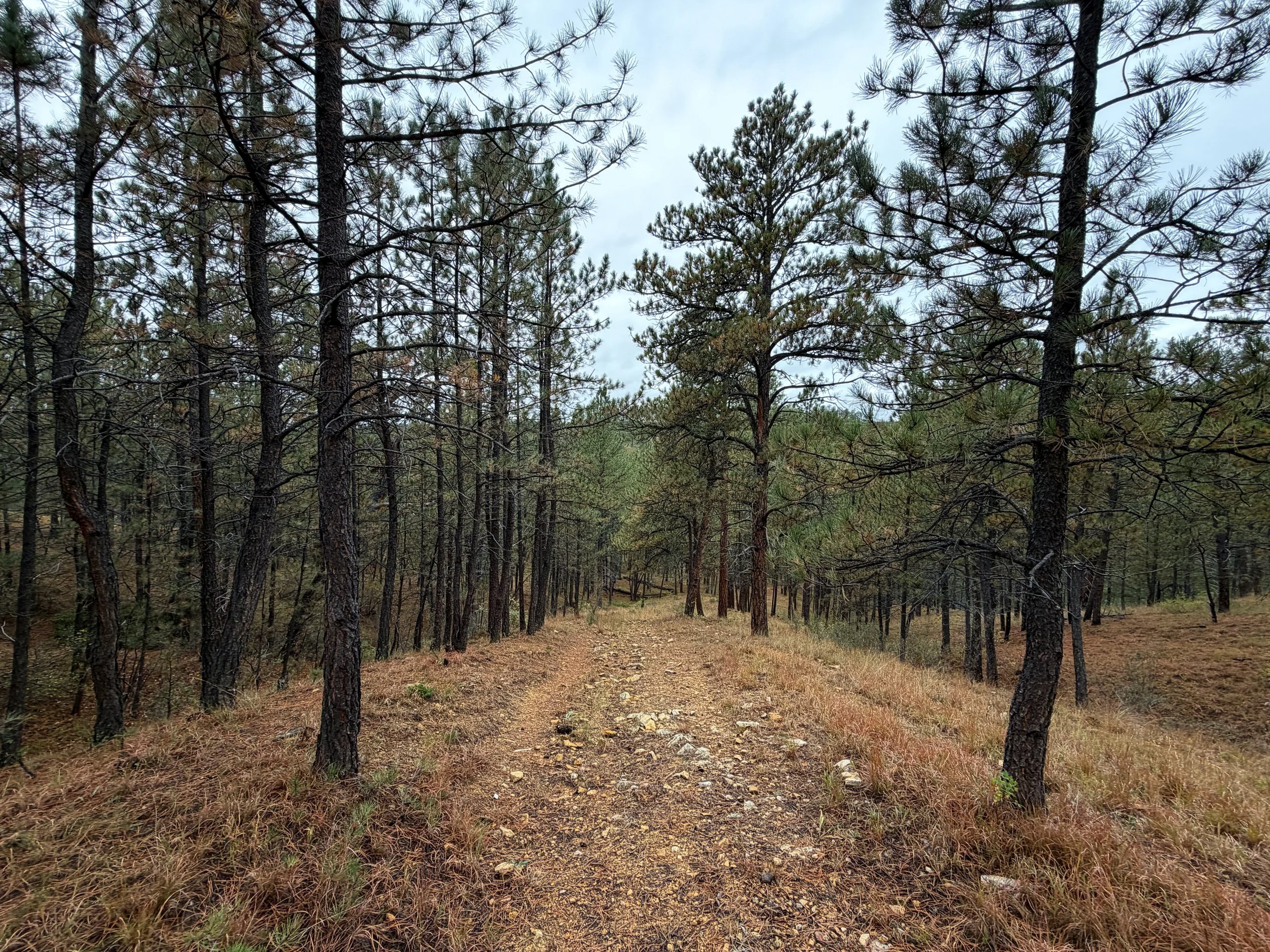 Highland Creek Trail Wind Cave National Park South Dakota