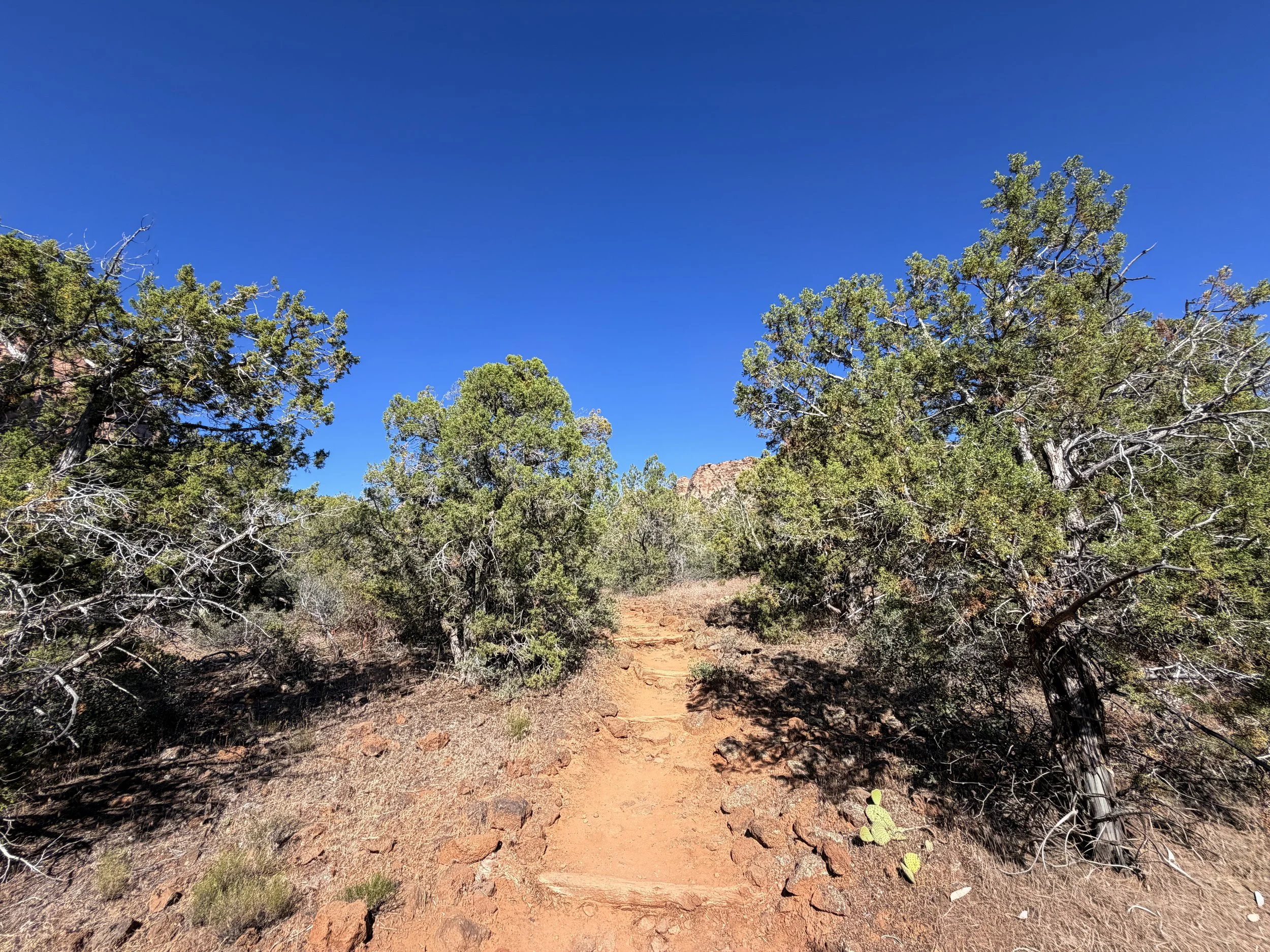 Subway Trail Zion National Park Utah