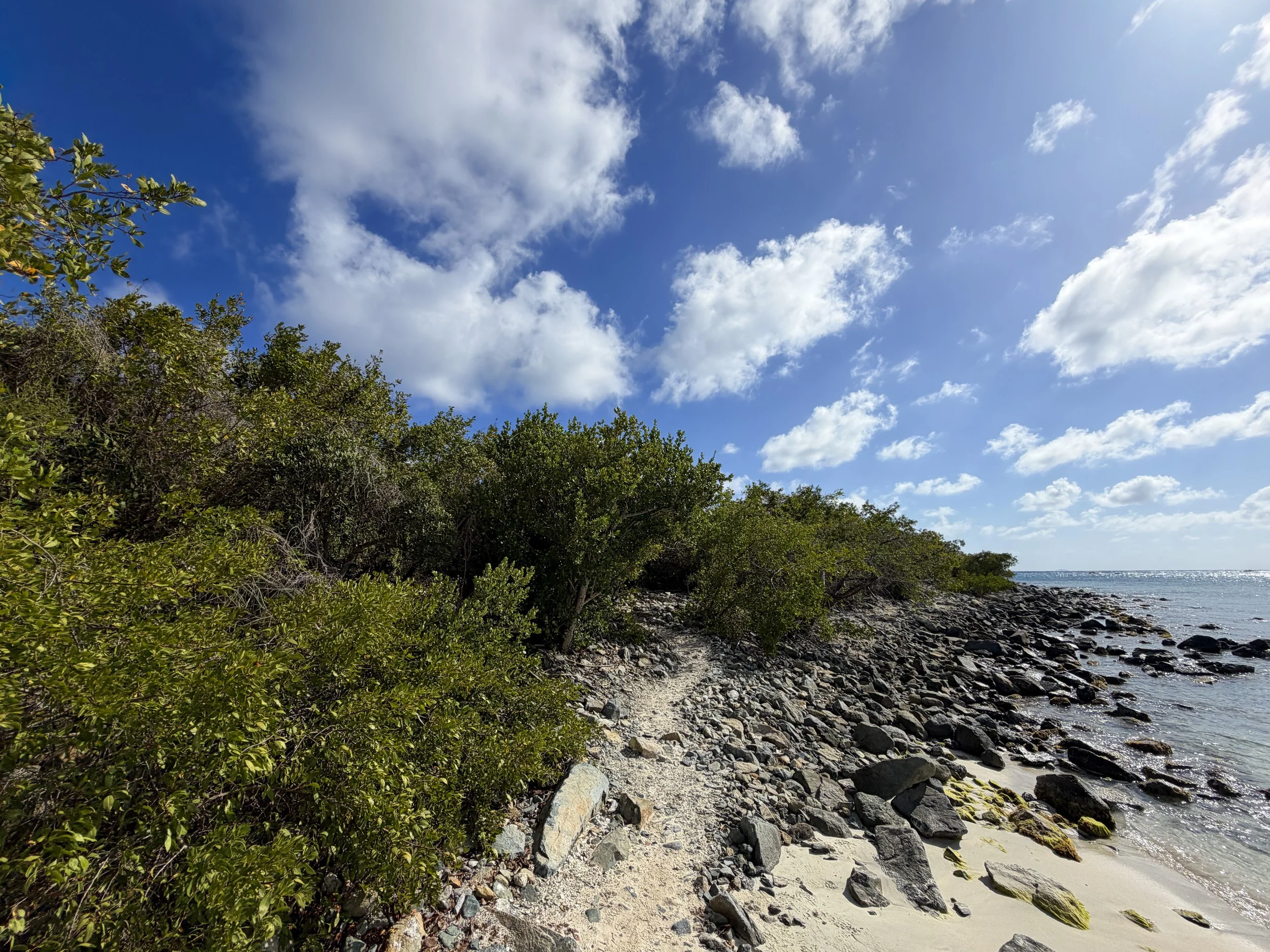 Ram Head Trail Virgin Islands National Park