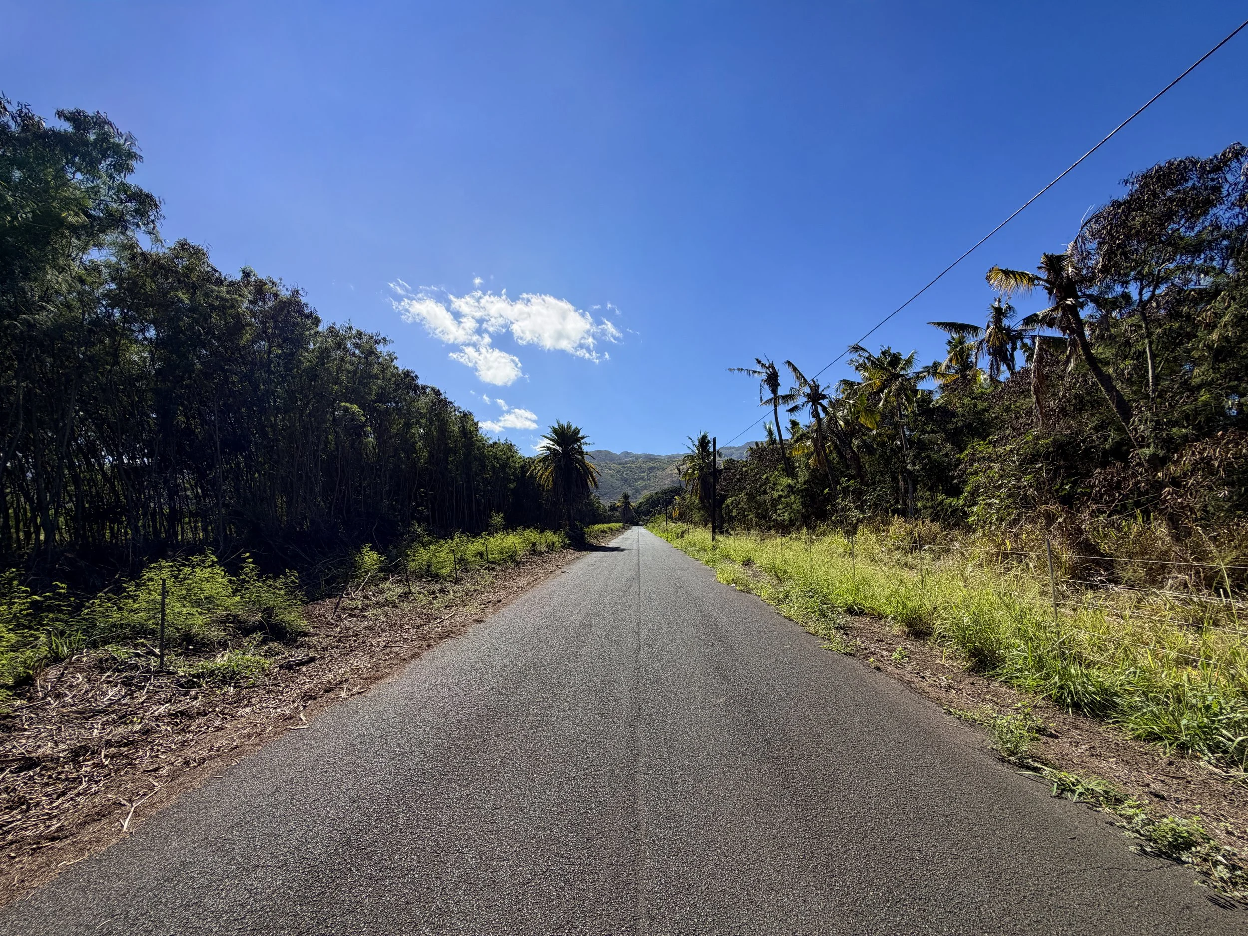 Mokuleia Forest Reserve Access Road Trail Oahu Hawaii