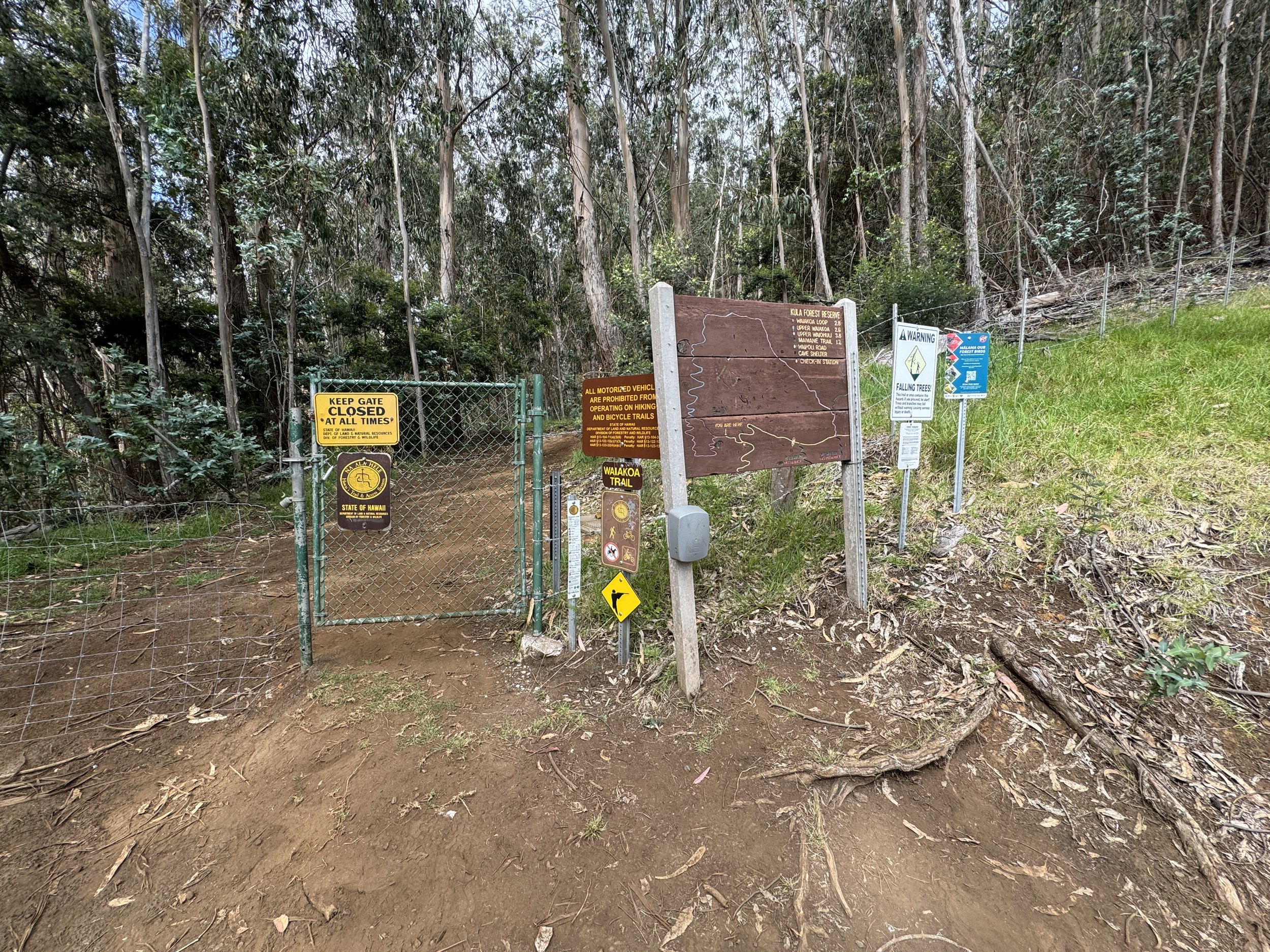 Hiking the Waiakoa Loop Trail on Maui, Hawaiʻi — noahawaii