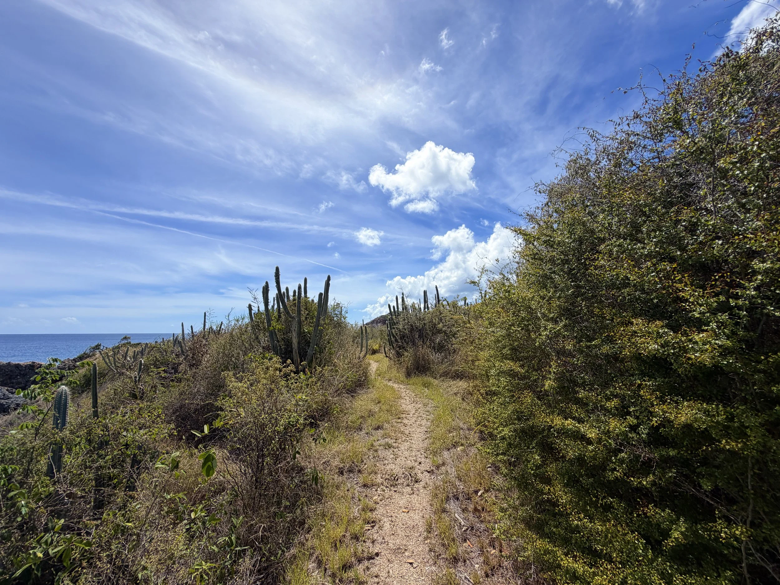 Yawzi Point Trail Virgin Islands National Park
