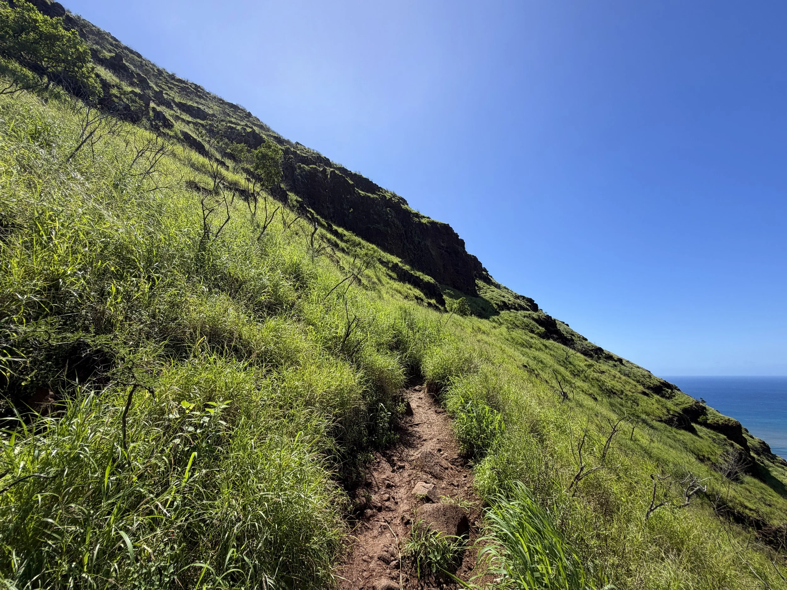 Puu O Hulu Trail to Pink Pillbox Oahu Hawaii