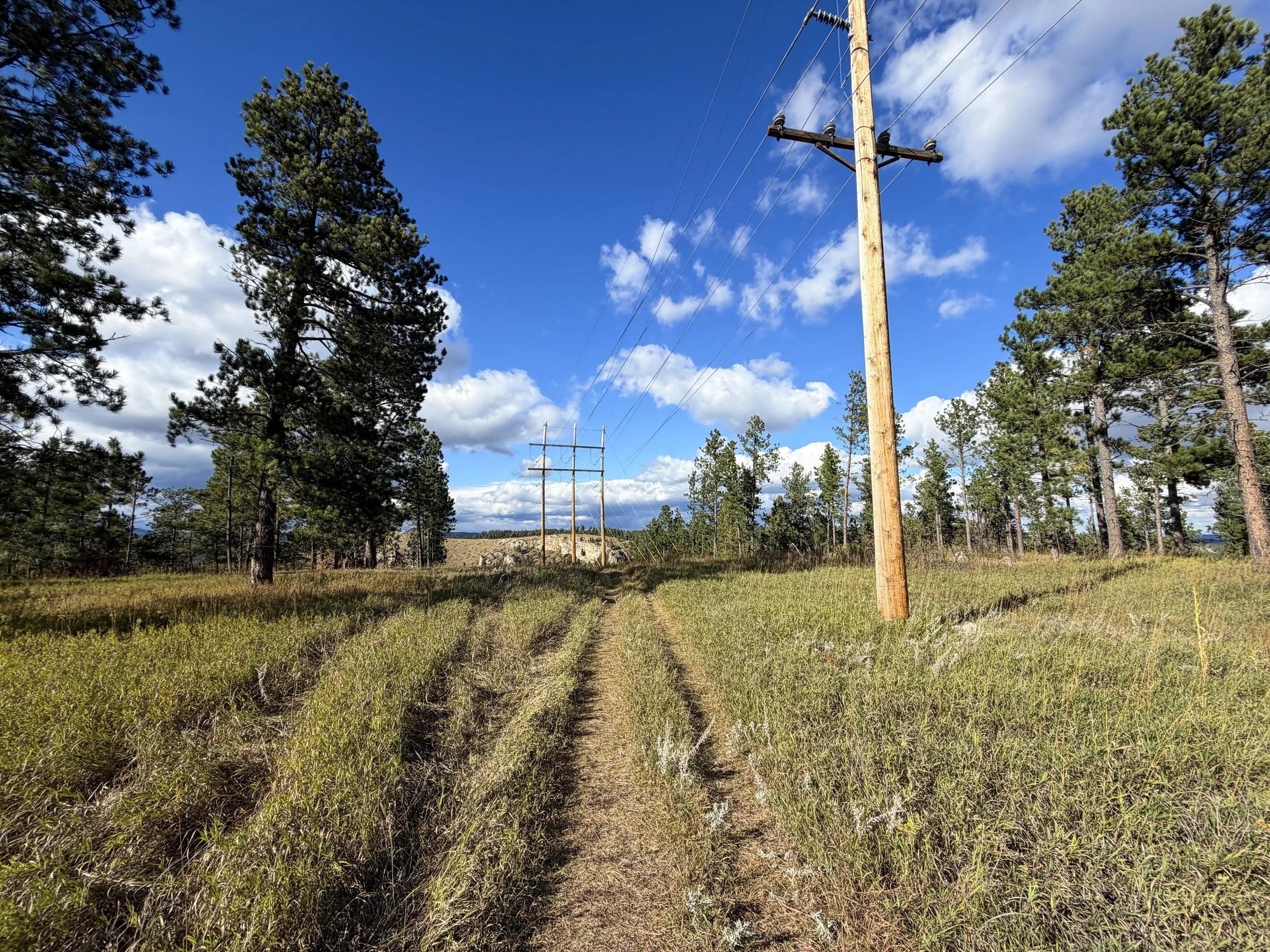 Stratobowl Rim Trail Black Hills South Dakota