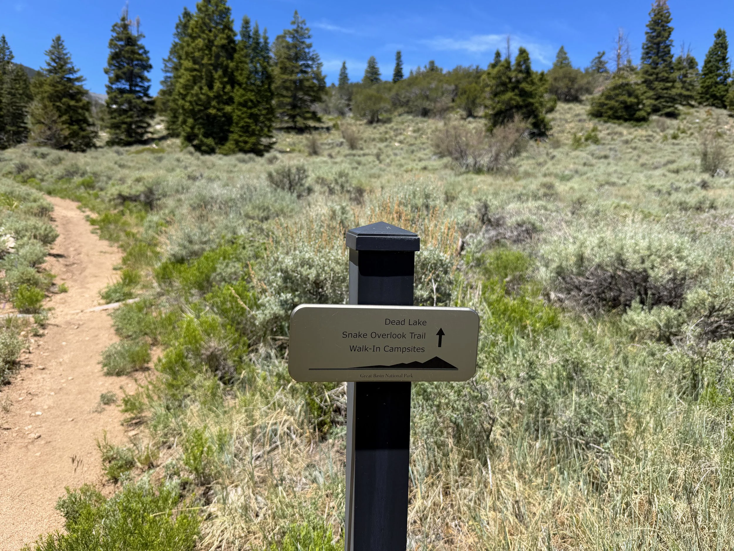 Dead Lake Trail Great Basin National Park Nevada