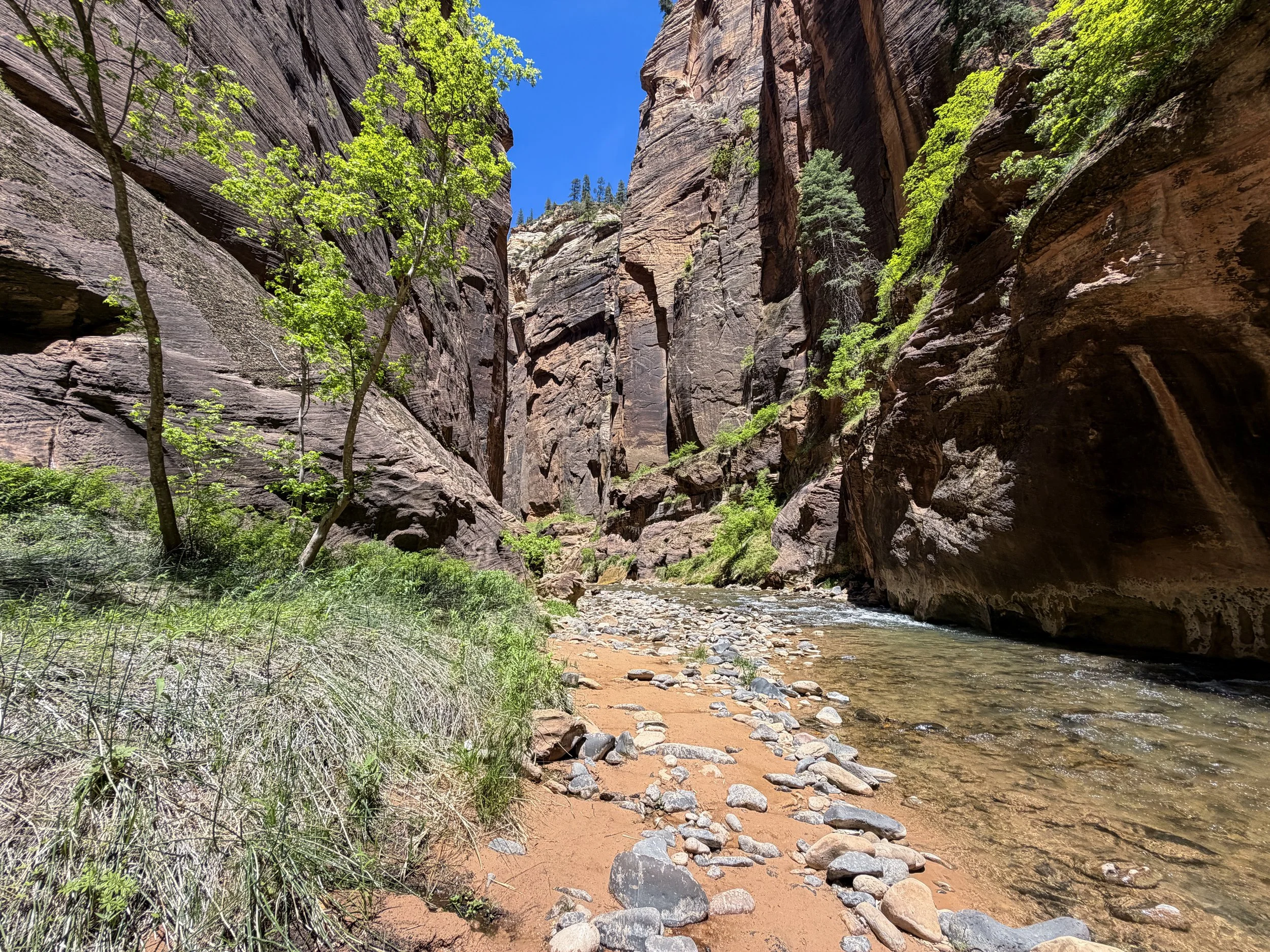 Narrows Hike Zion National Park Utah