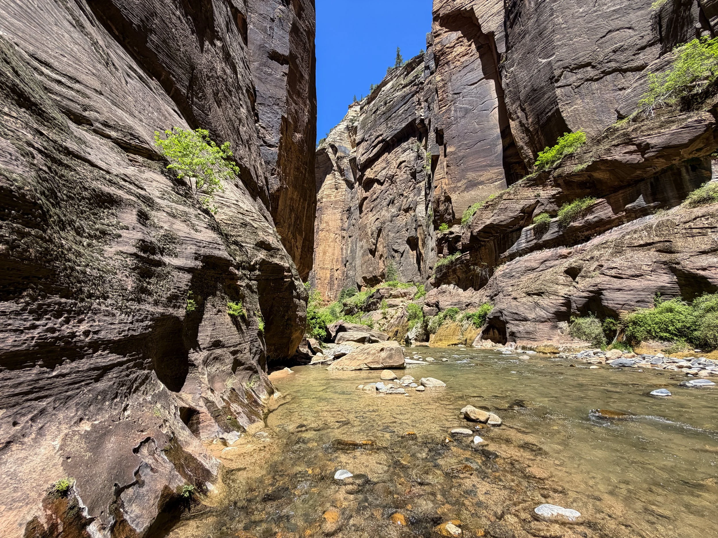 Narrows Bottom-Up to Big Springs Zion National Park Utah