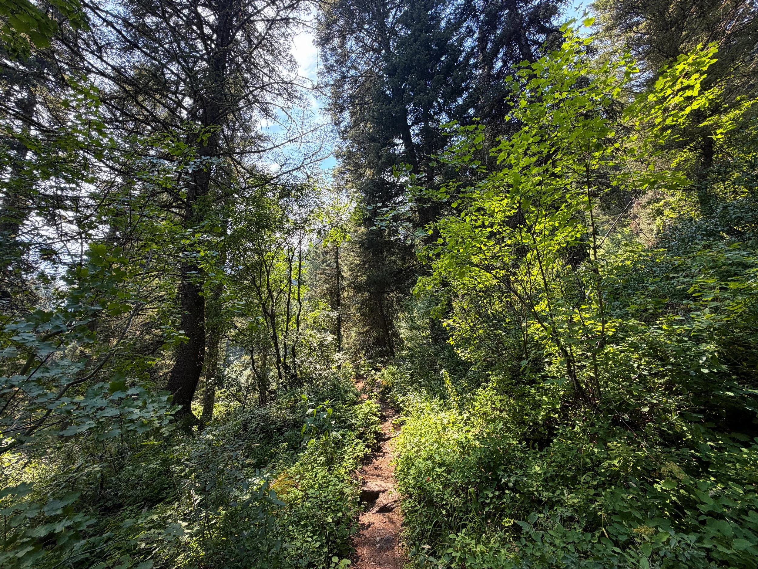 Phelps Lake Trail Grand Teton National Park Wyoming