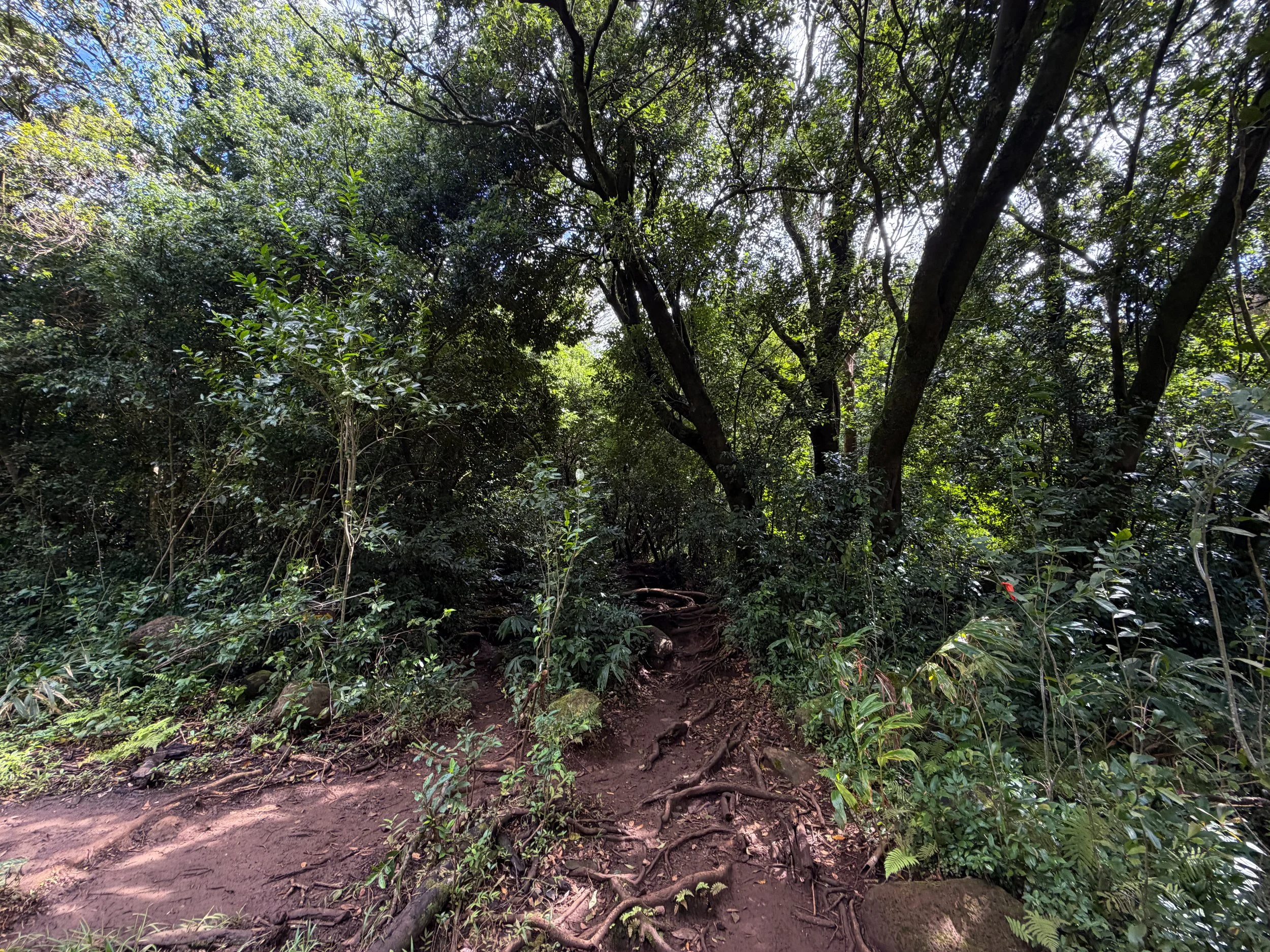 Lulumahu Falls Hike Oahu Hawaii