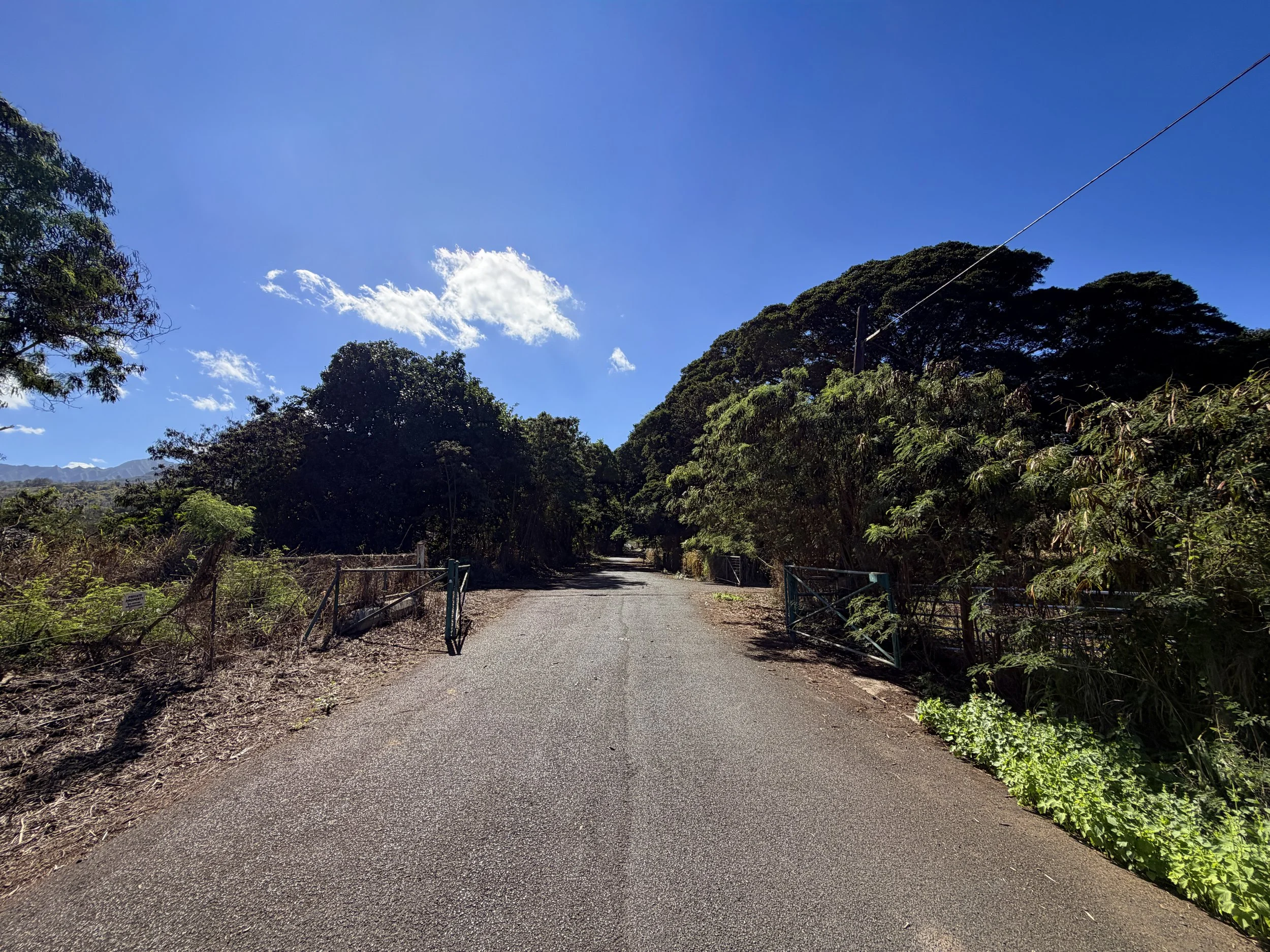 Mokuleia Forest Reserve Access Road Trail Oahu Hawaii