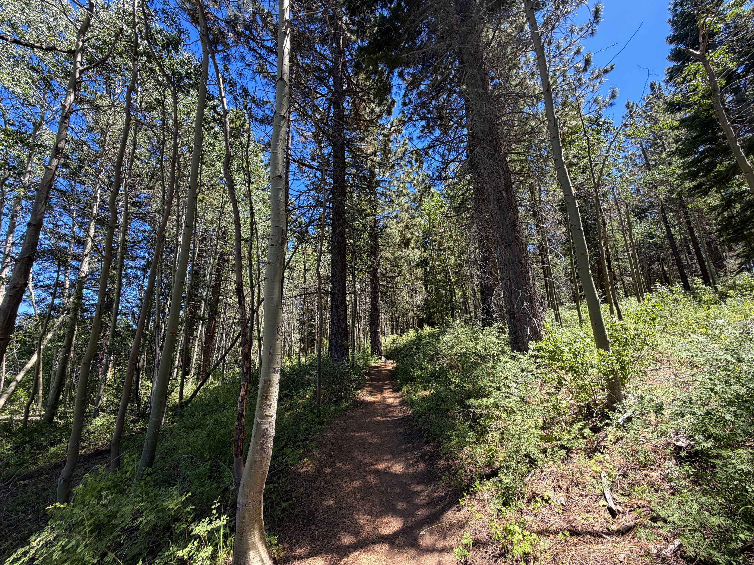 Spooner Lake Loop Trail Lake Tahoe Nevada