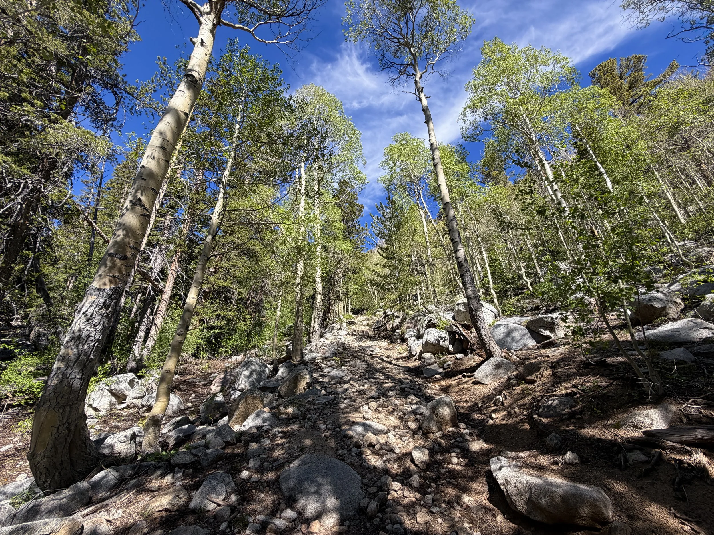 Johnson Lake Trail Great Basin National Park Nevada