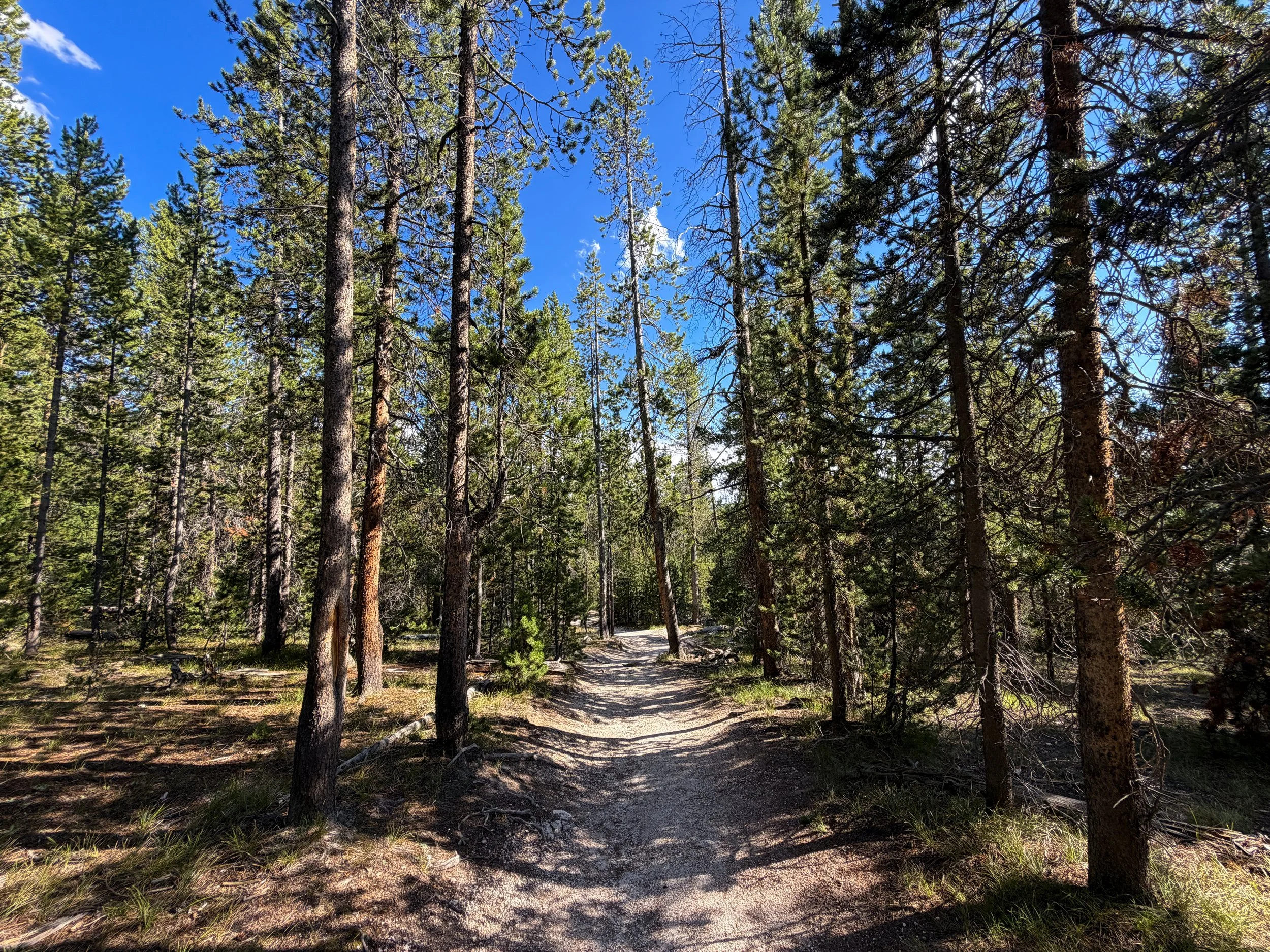 Observation Point Trail Yellowstone National Park Wyoming