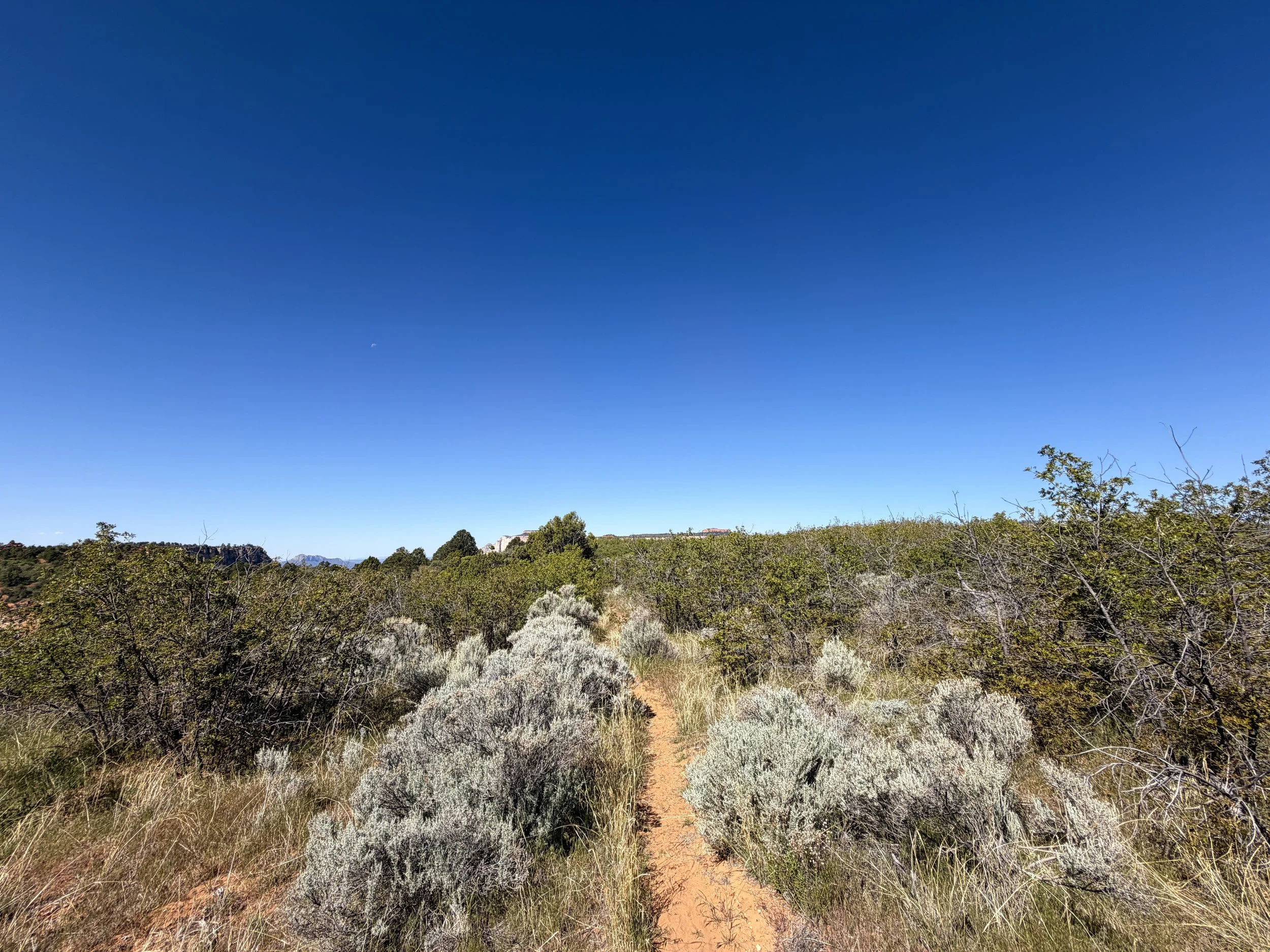 Deertrap Mountain Trail Zion National Park Utah