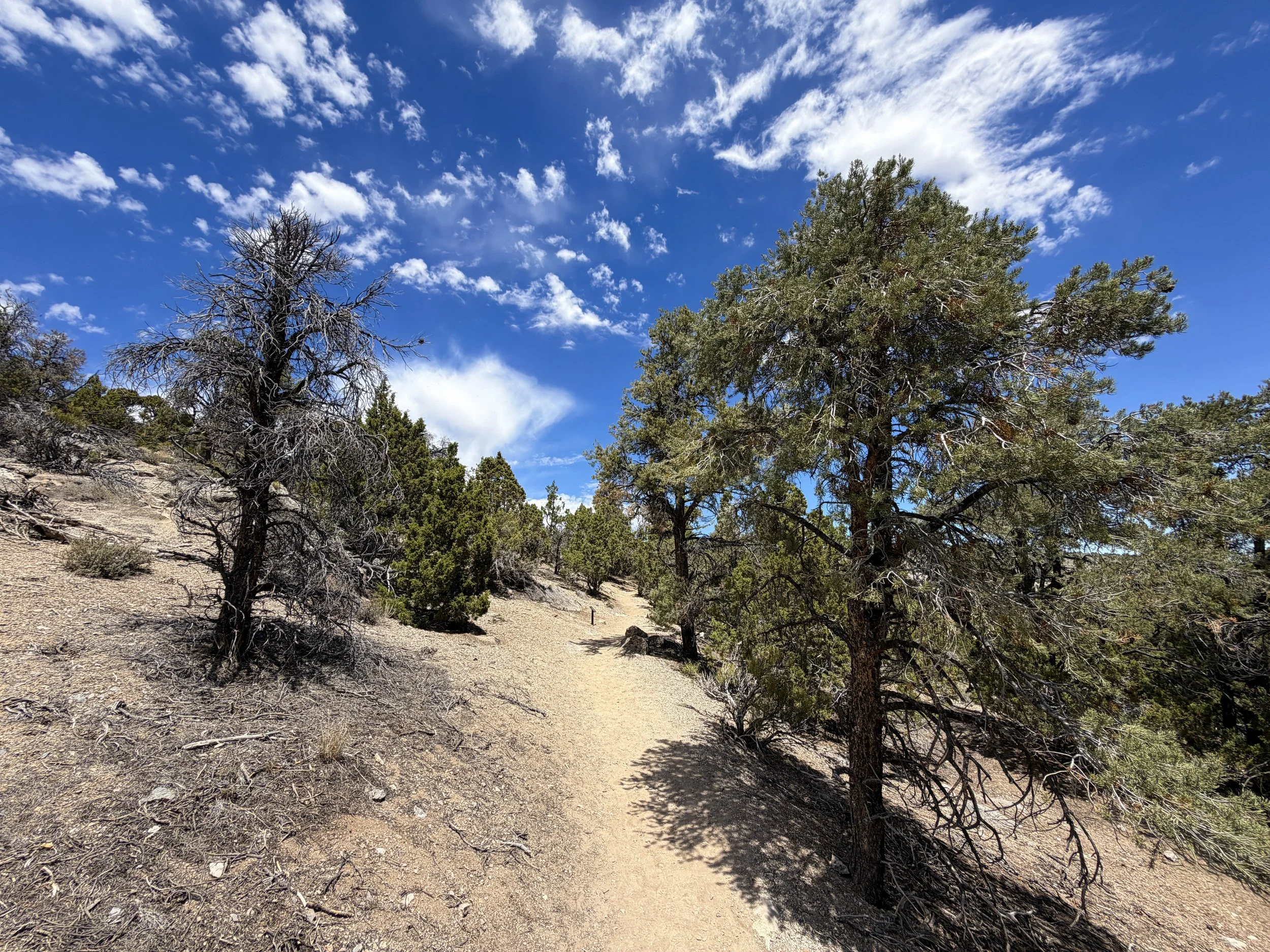 Mountain View Nature Trail Great Basin National Park Nevada