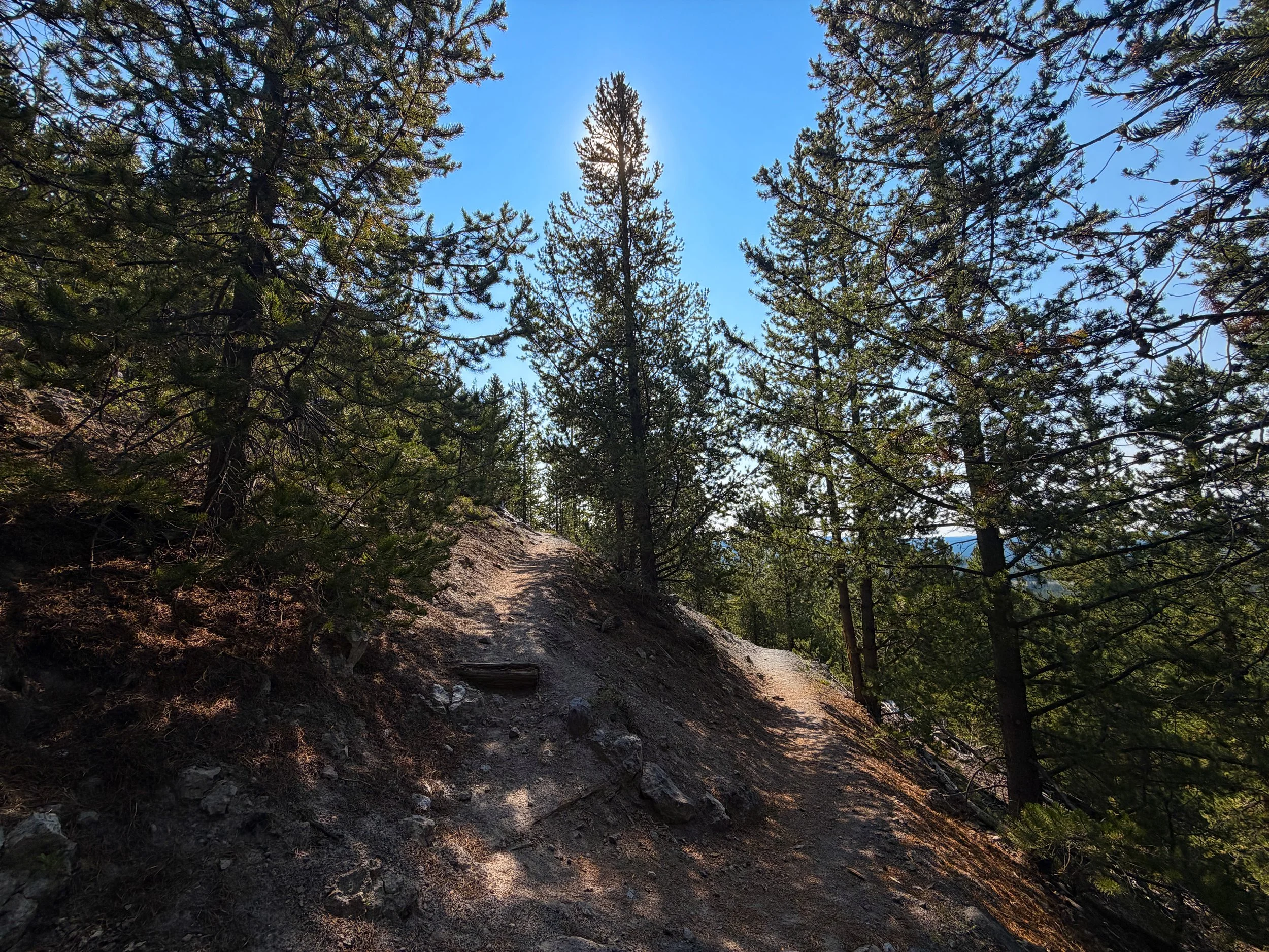 Mystic Falls Trail Yellowstone National Park Wyoming