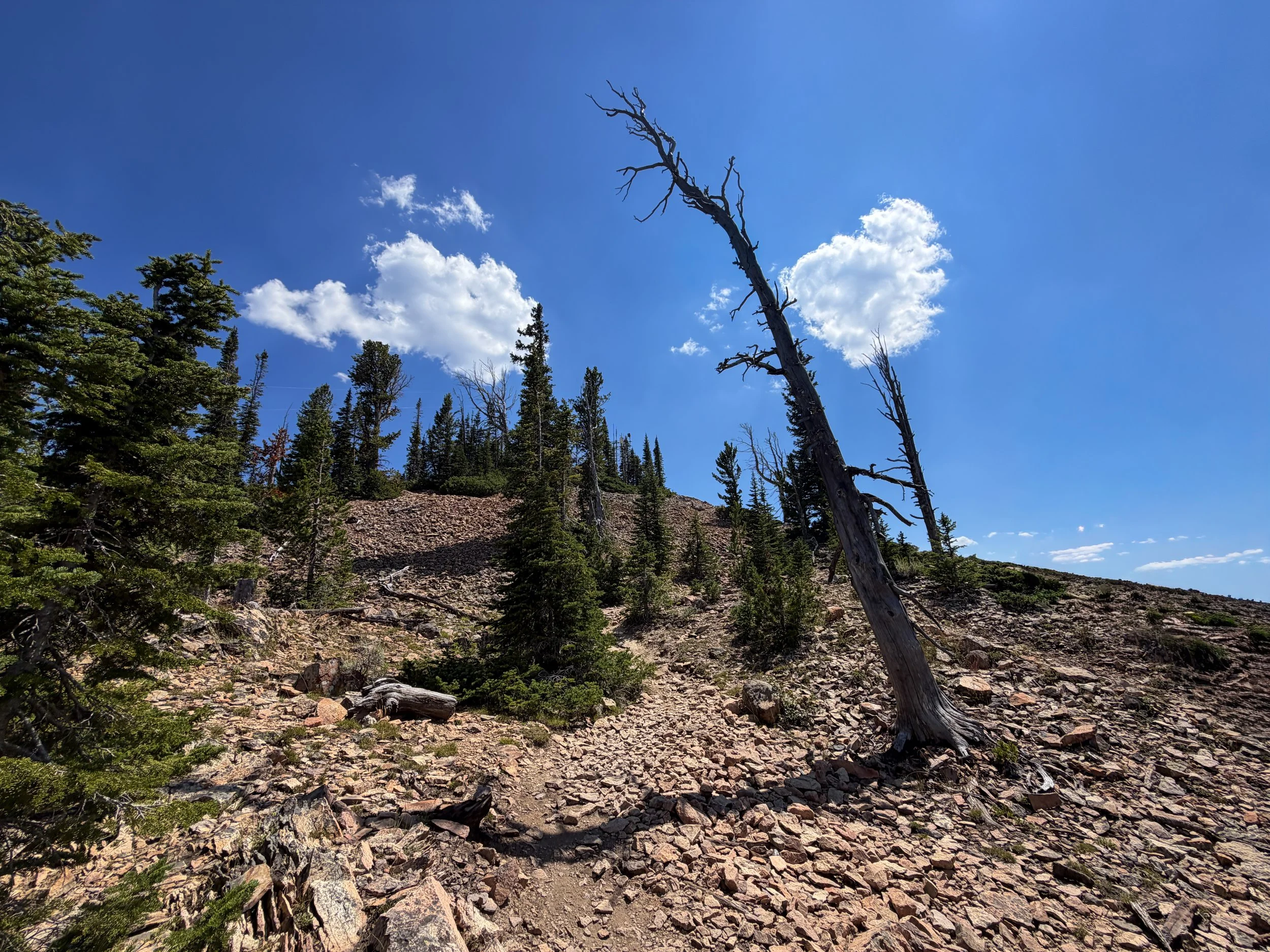 Bunsen Peak Trail Yellowstone National Park Wyoming