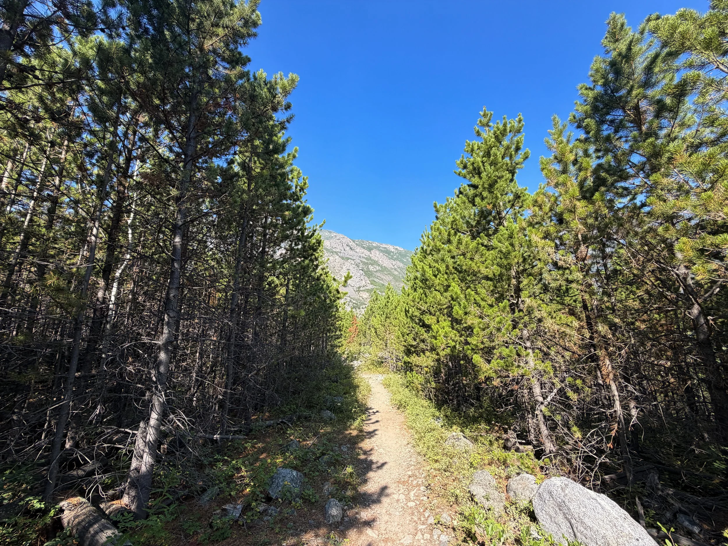 East Rosebud Trail Beartooth Mountains Montana