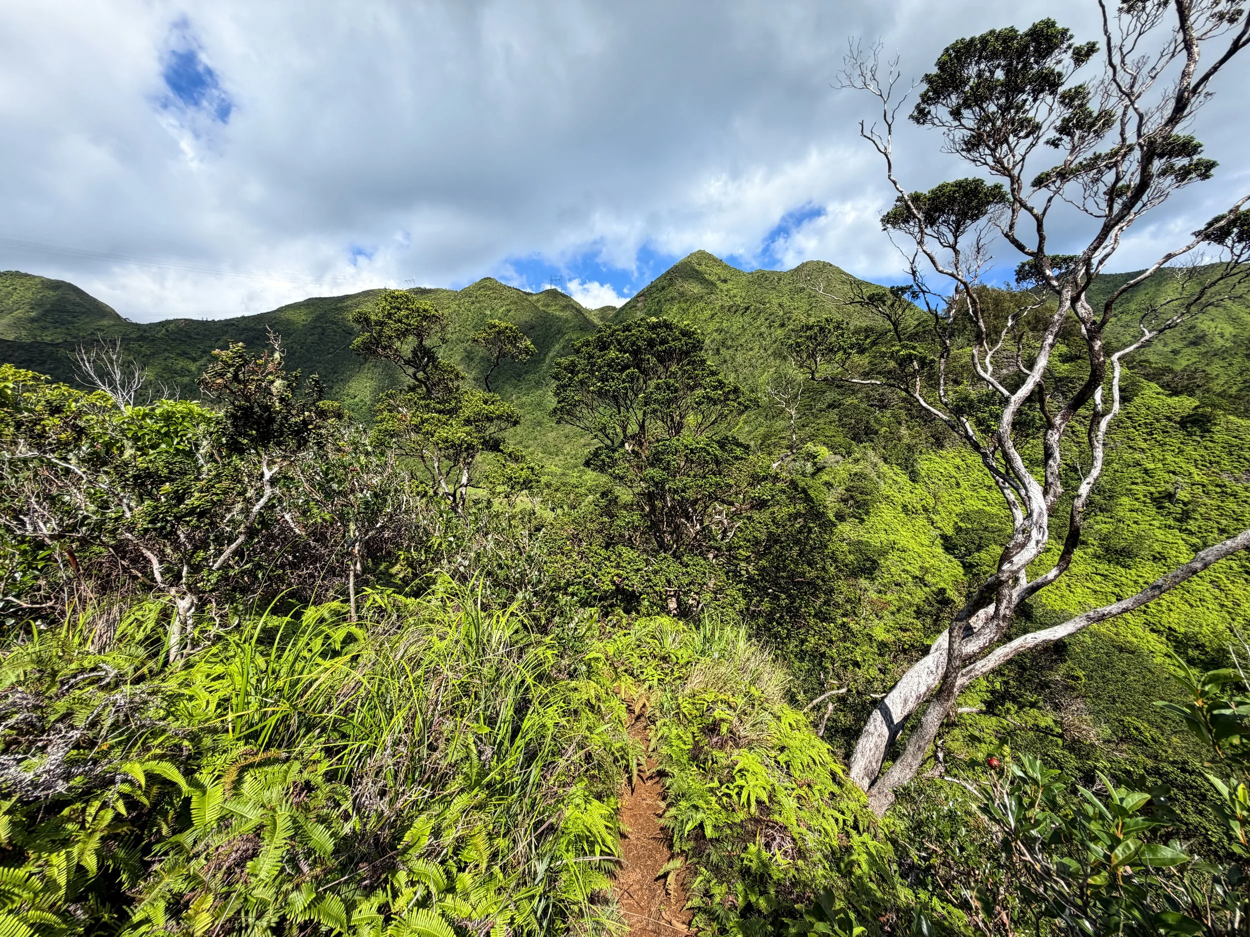Kaau Crater Loop Trail Oahu Hawaii