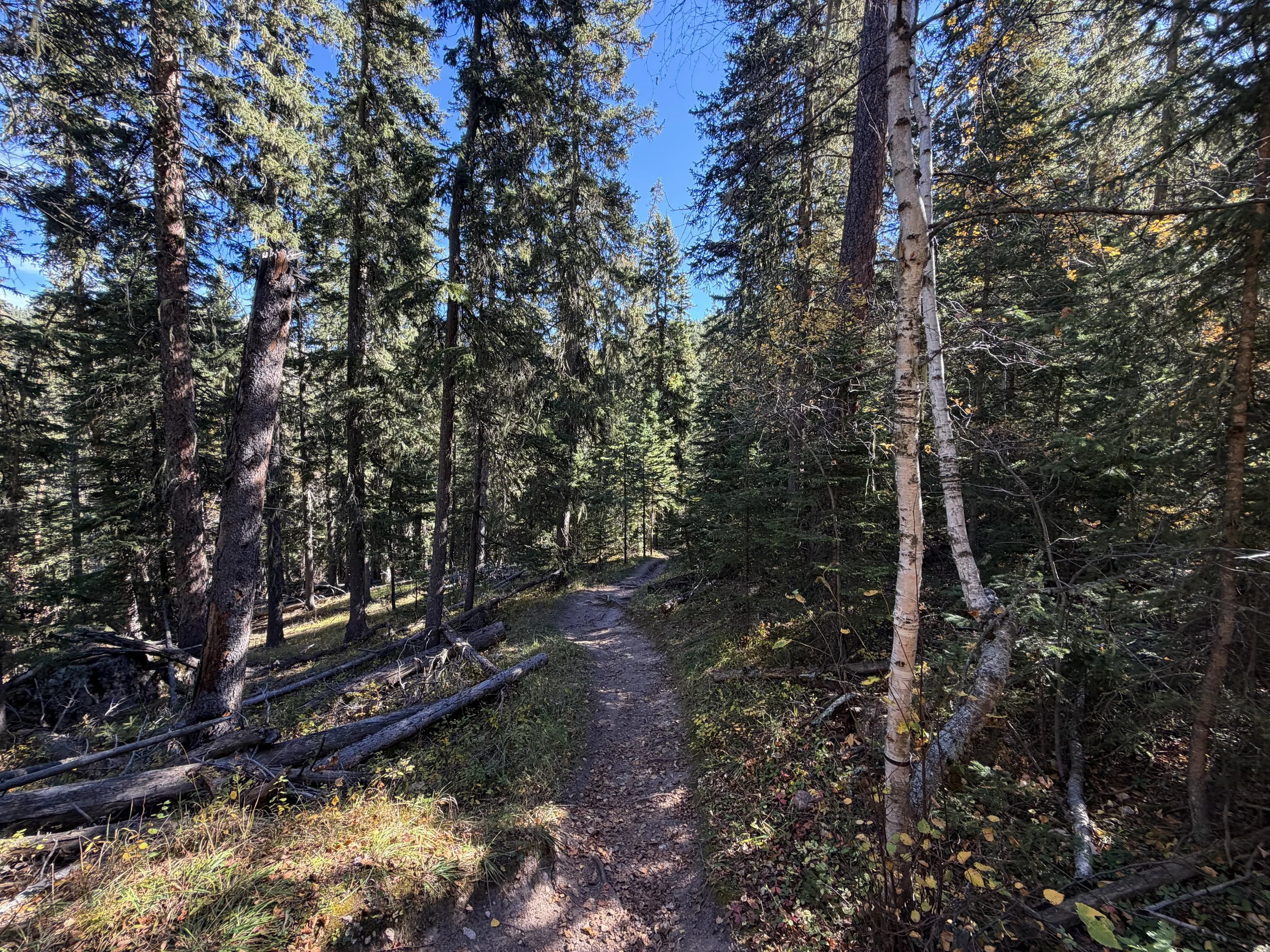 Sunday Gulch Hike Custer State Park Black Hills South Dakota