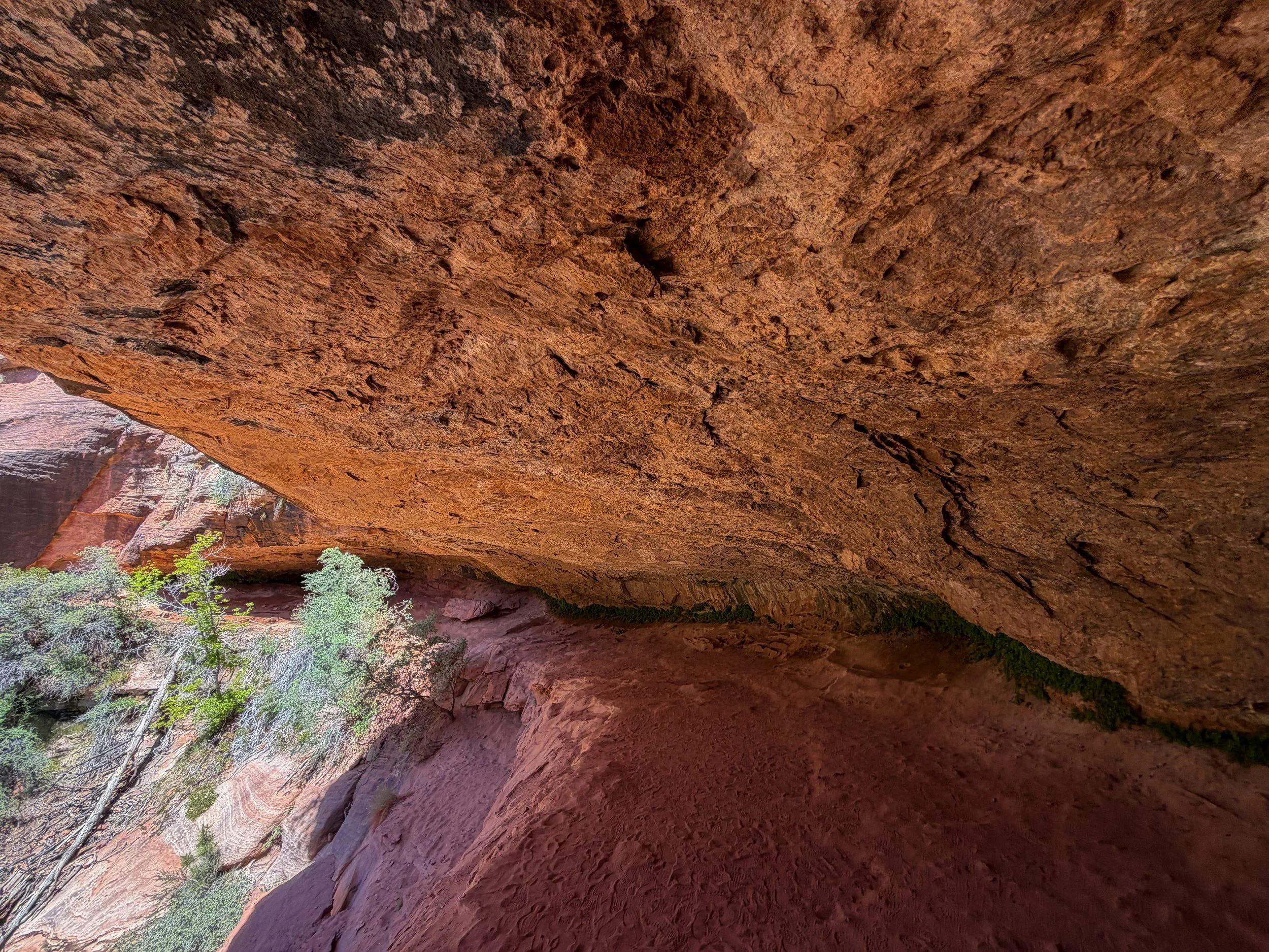 Zion Canyon Overlook Trail Zion National Park Utah