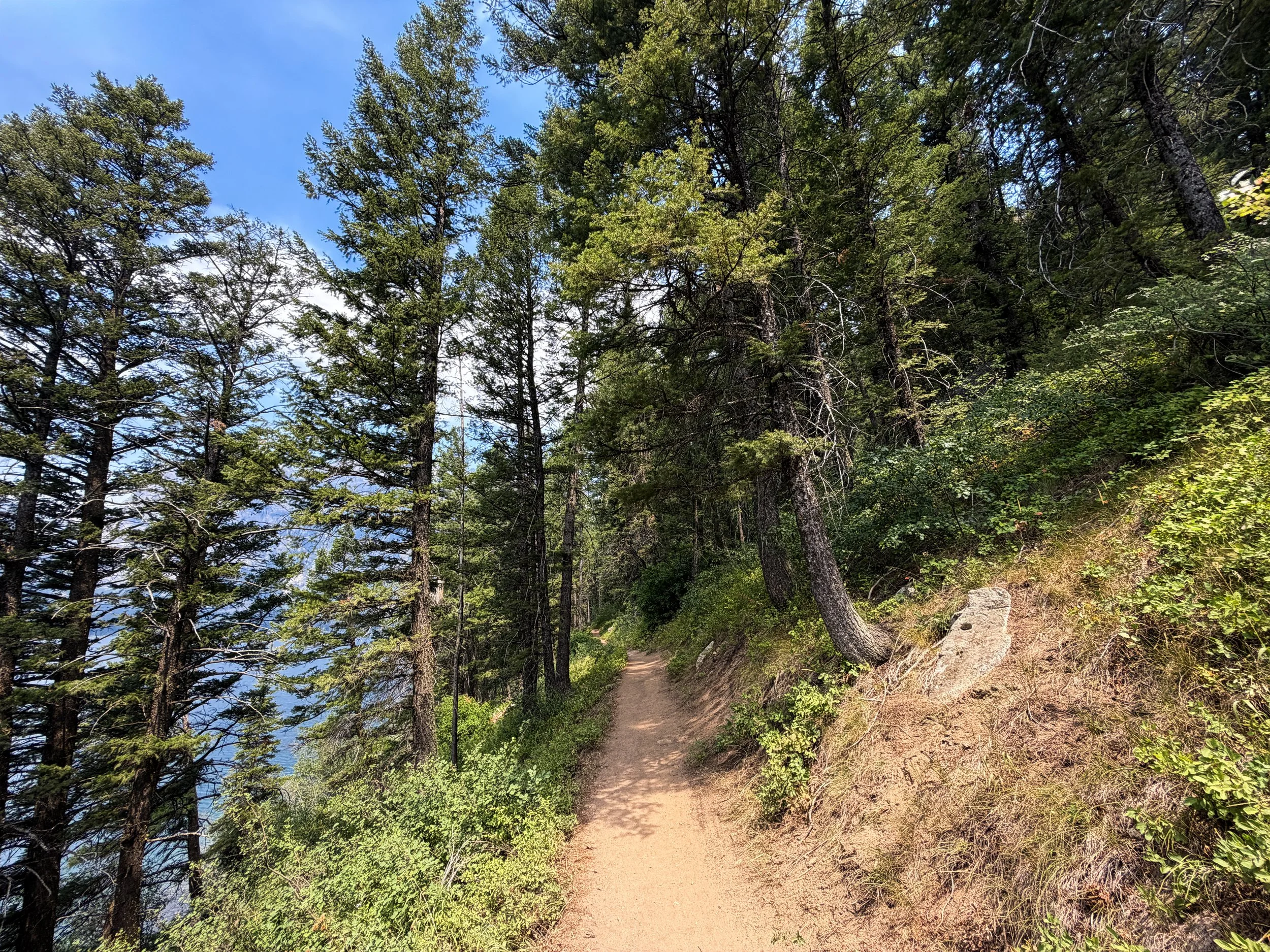 Phelps Lake Trail to Jumping Rock Grand Teton National Park Wyoming