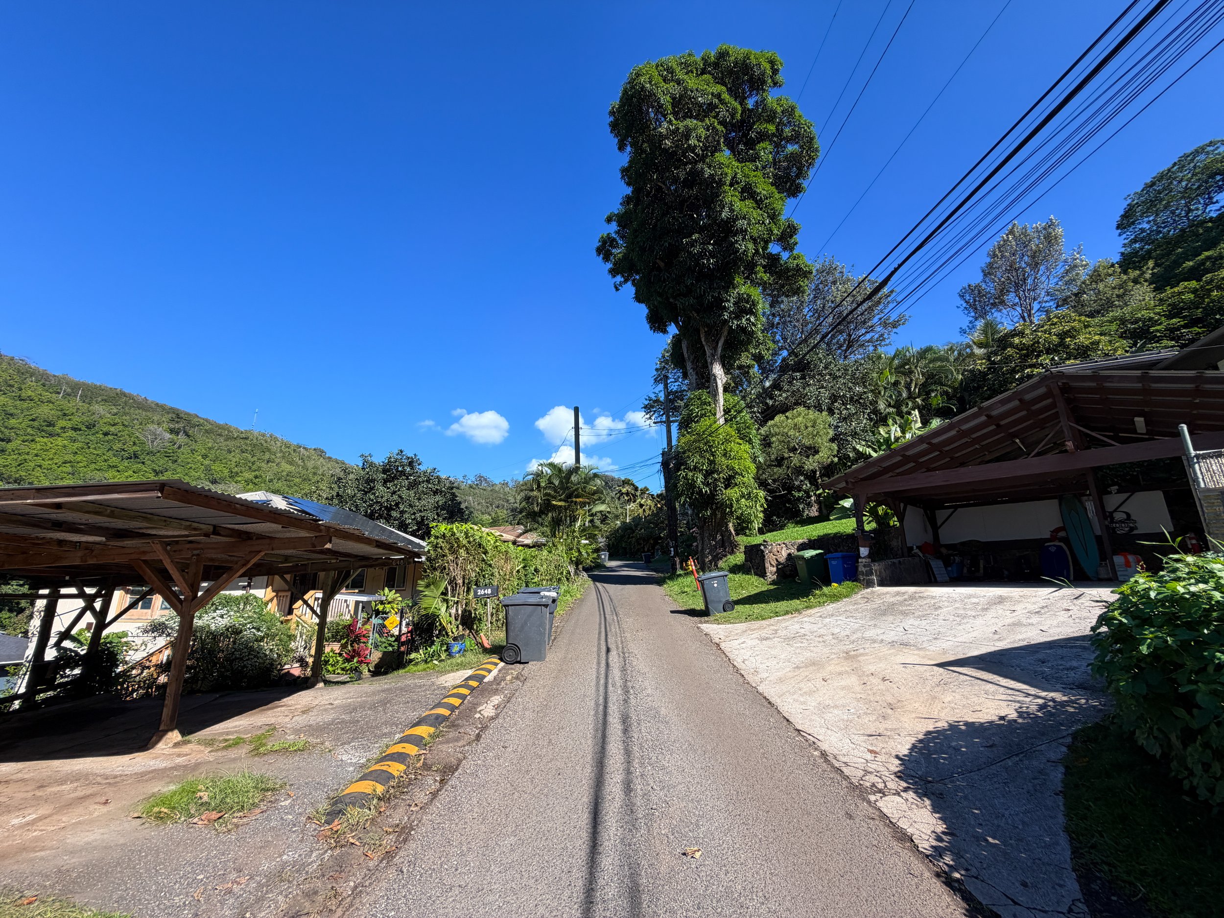Walking to the Kaau Crater Trailhead Oahu Hawaii