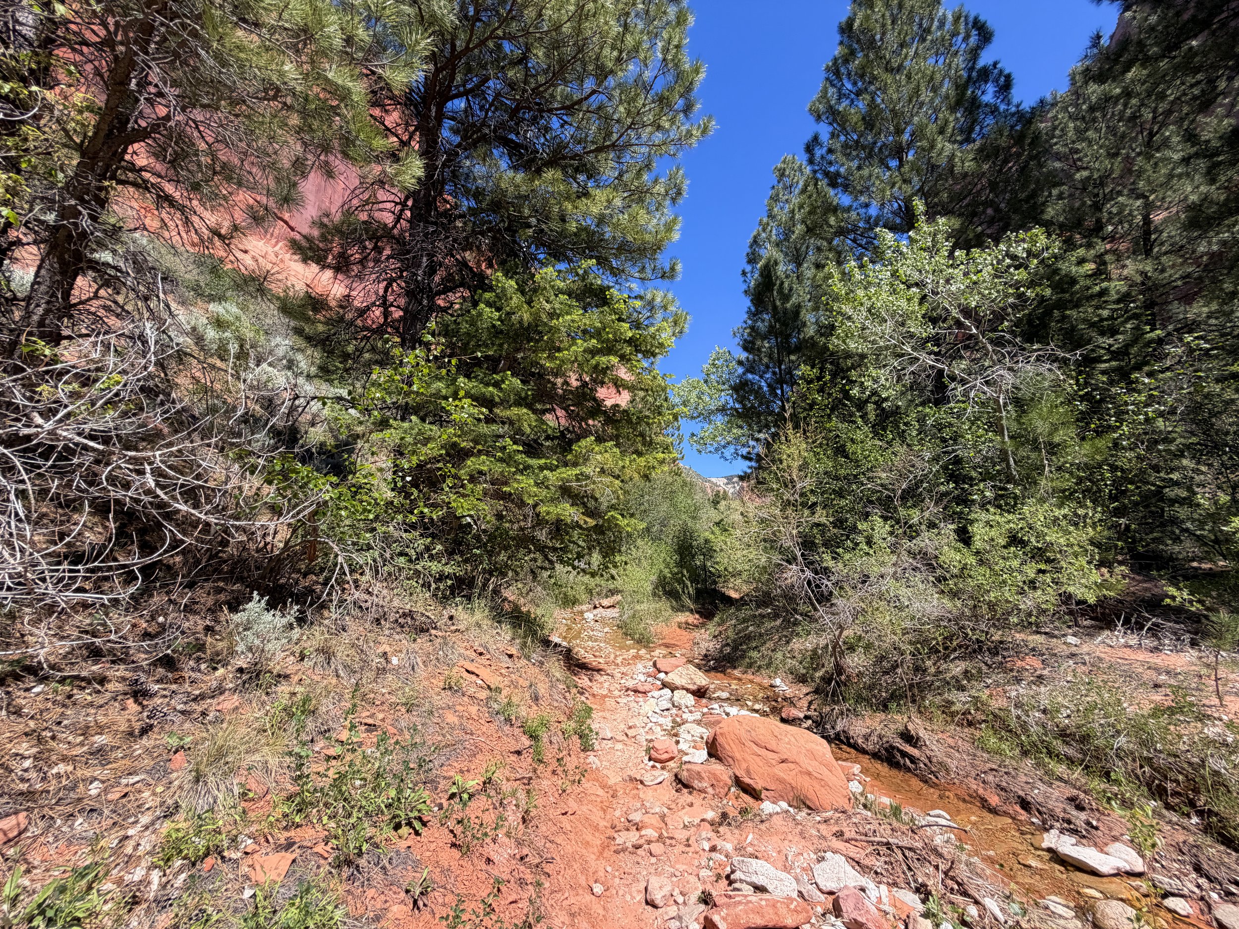Taylor Creek Trail Zion National Park Utah