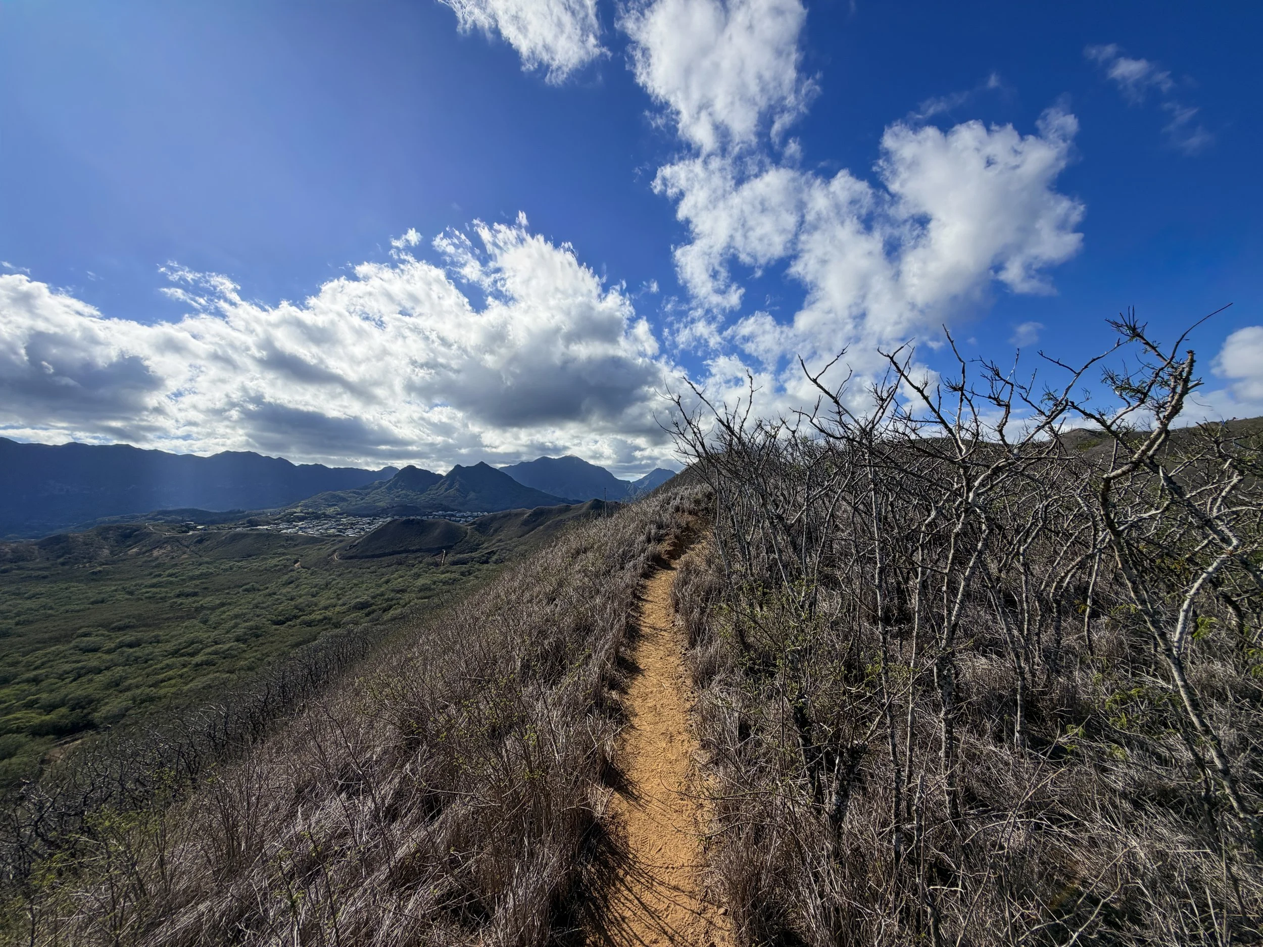 Back Way Kaiwa Ridge Trail Oahu Hawaii