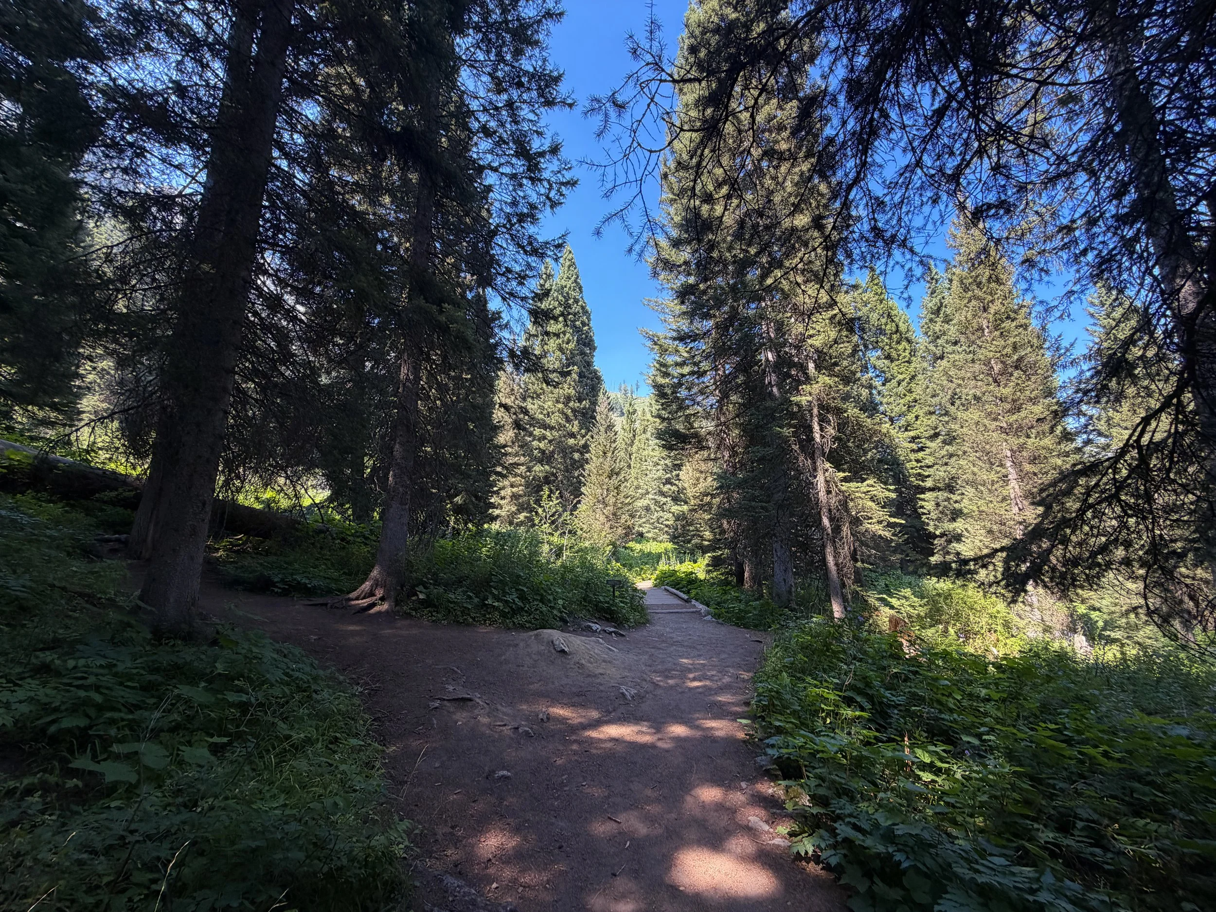 Jenny Lake Loop Trail Grand Teton National Park Wyoming