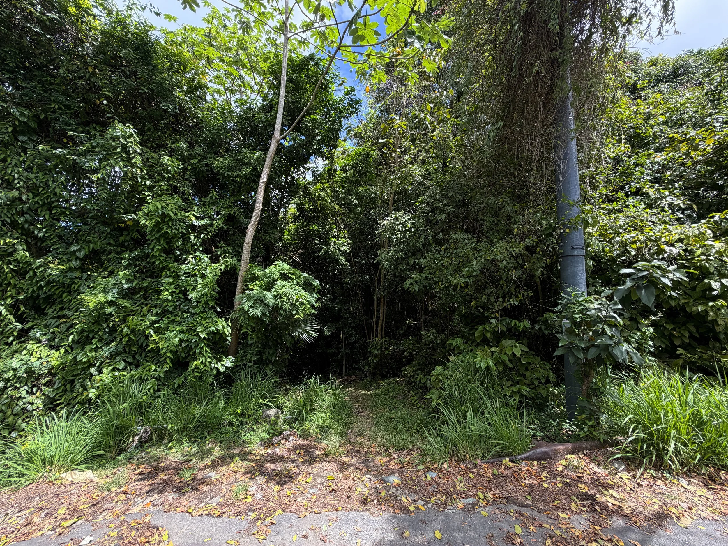 Maria Hope Trailhead Virgin Islands National Park