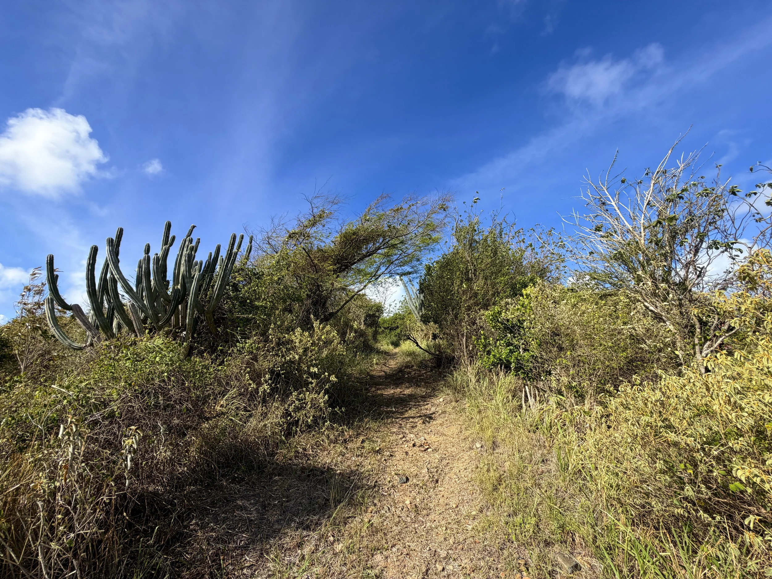 Tektite Trail Virgin Islands National Park