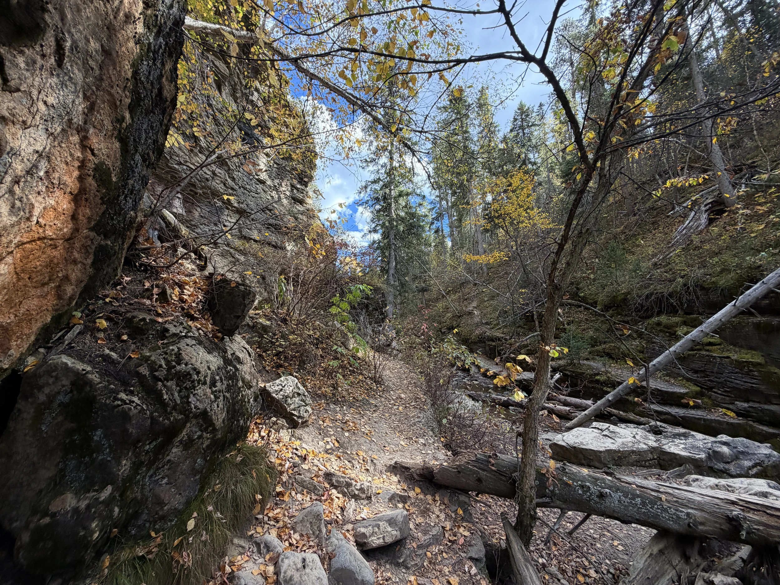 Devils Bathtub Trail Spearfish Canyon Black Hills South Dakota