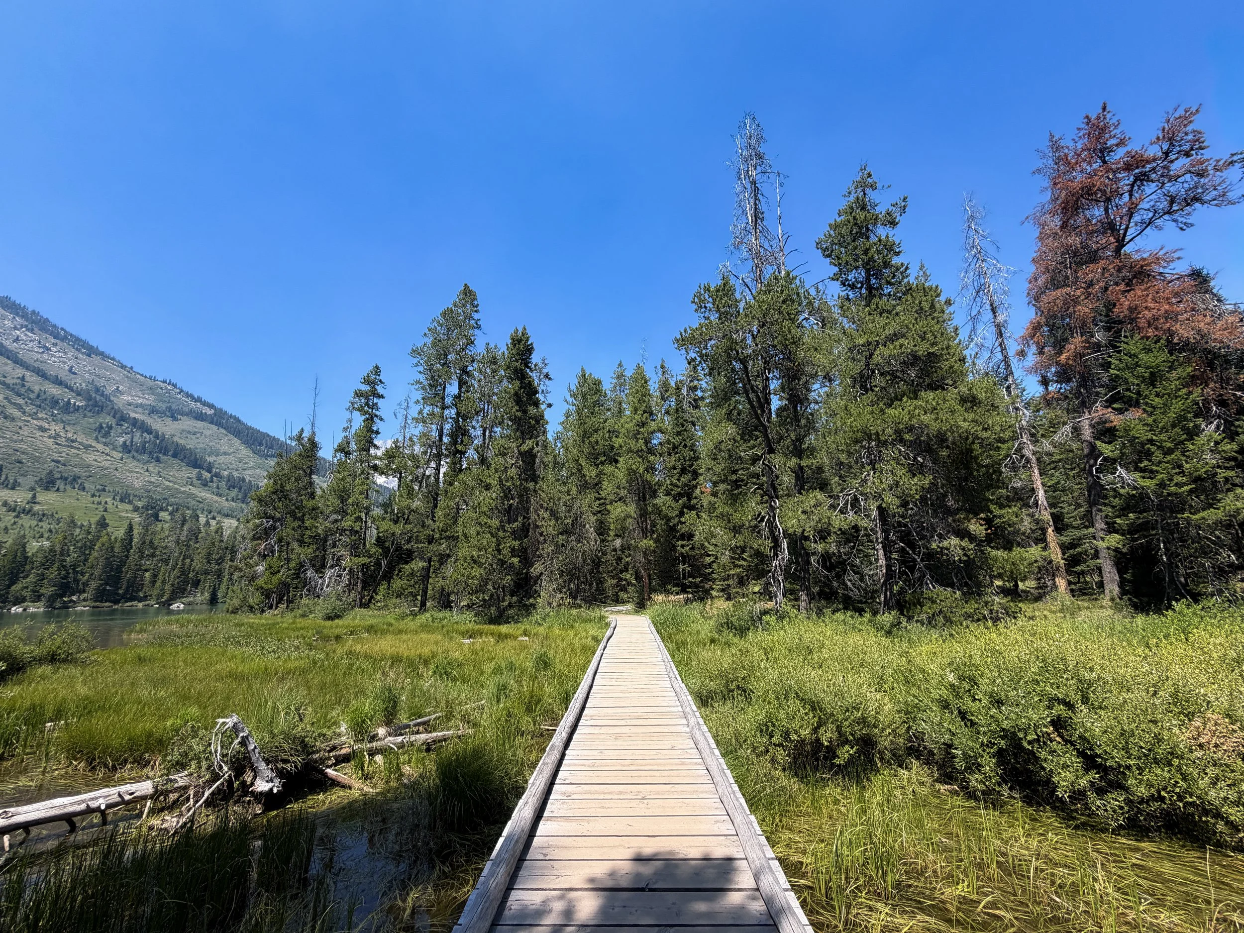 String Lake Loop Trail Grand Teton National Park Wyoming