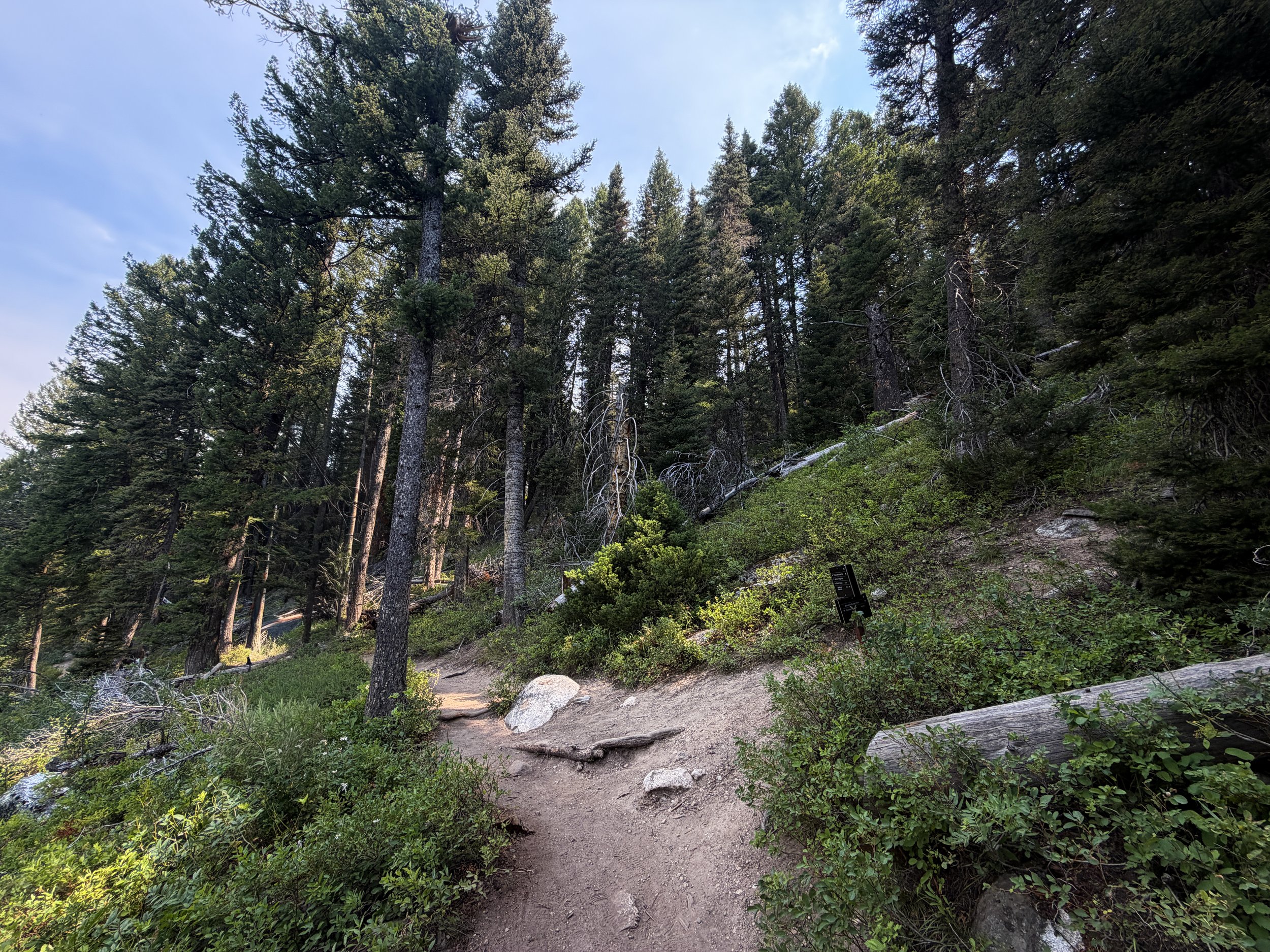 Boulder Ridge Loop Trail Grand Teton National Park Wyoming