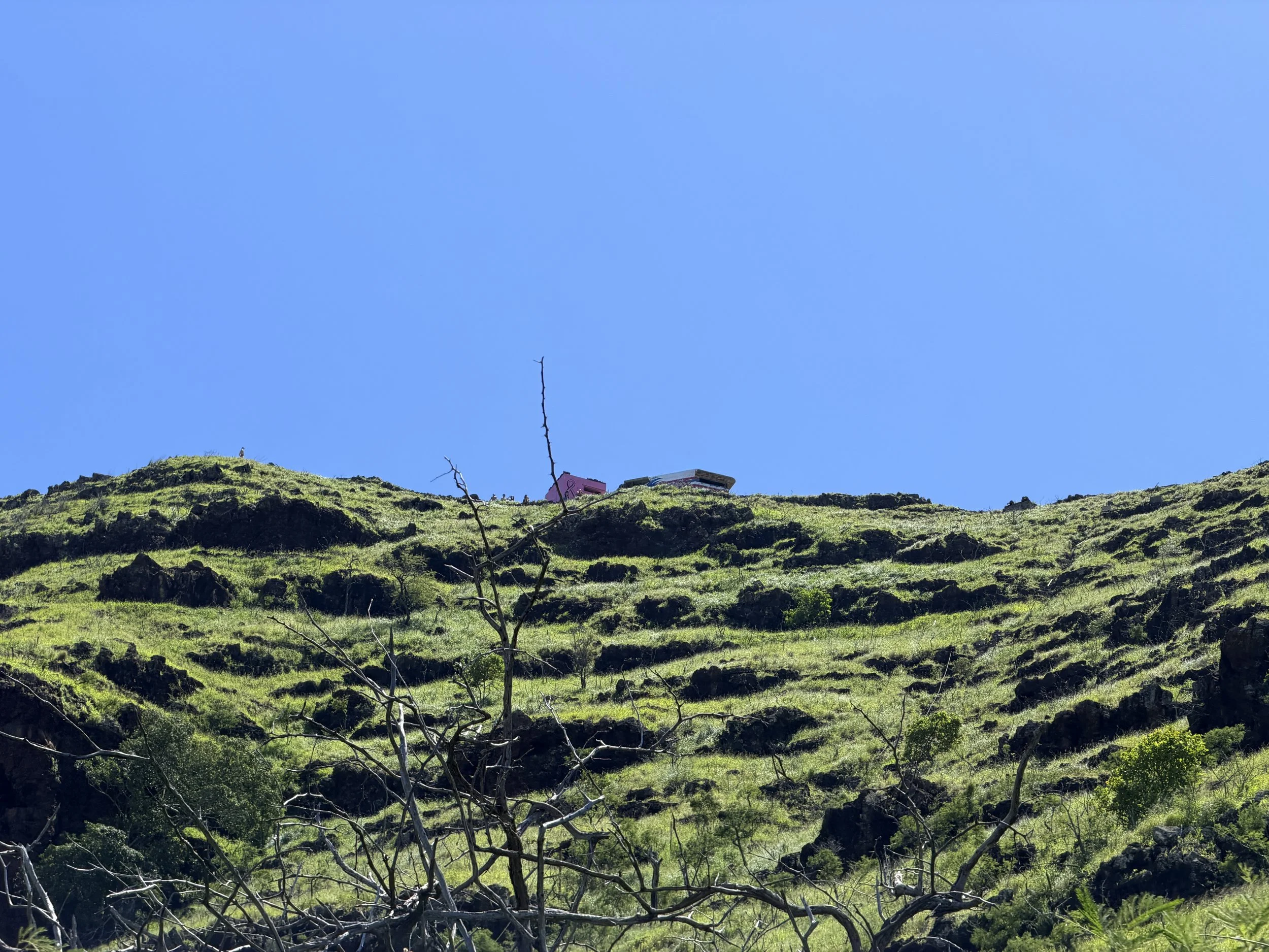 Pink Pillbox Trail Oahu Hawaii