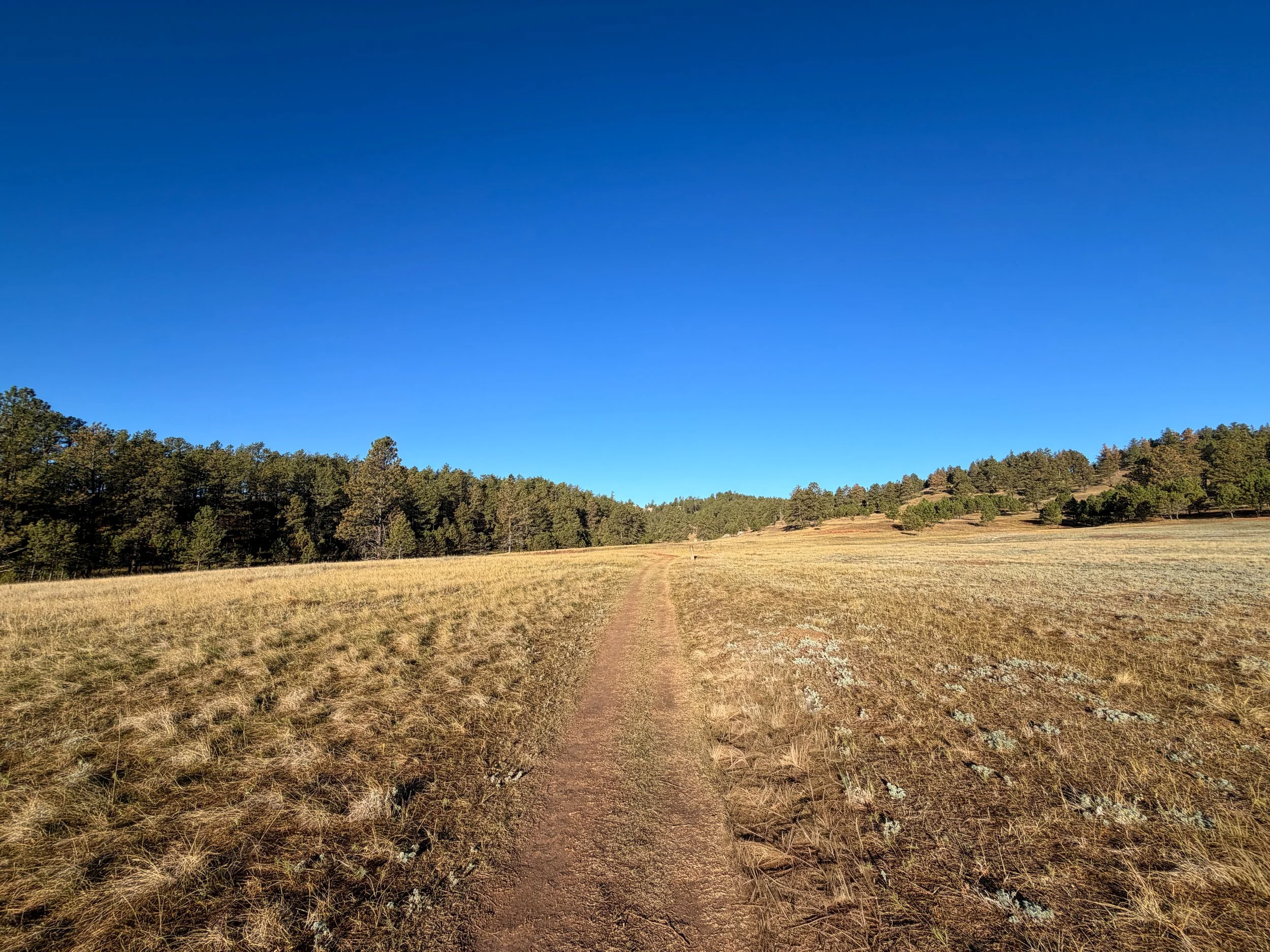Cold Brook Canyon Hike Wind Cave National Park South Dakota