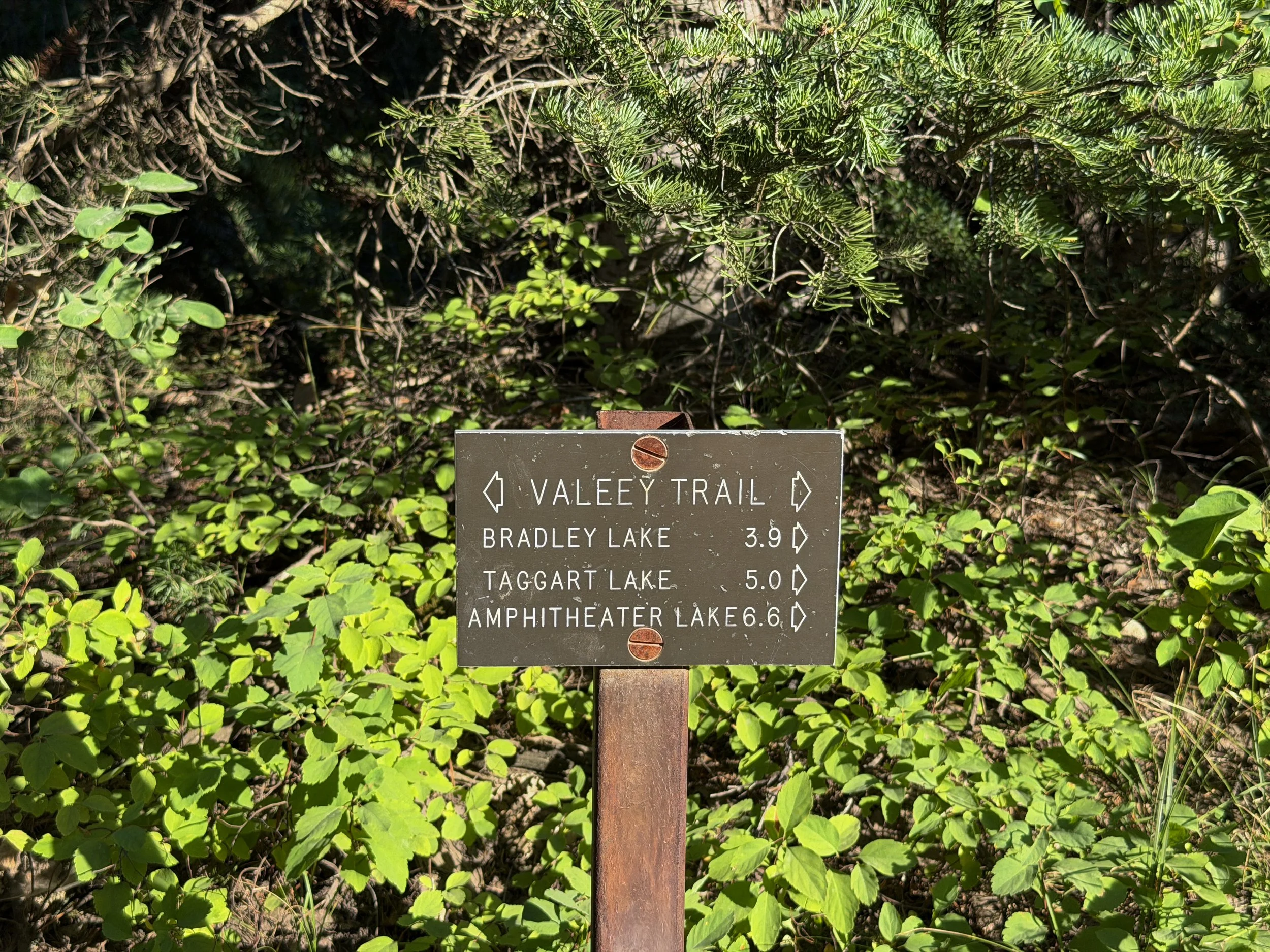 Moose Ponds Loop Trail Grand Teton National Park Wyoming