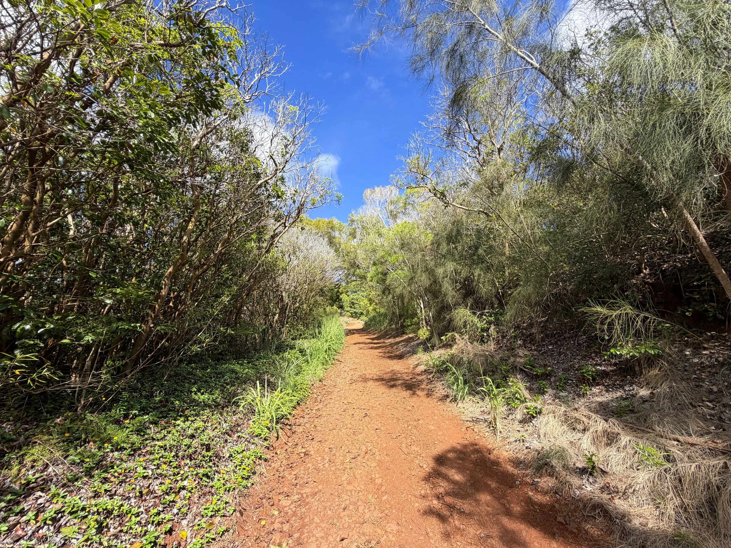 Wiliwilinui Ridge Trail Oahu Hawaii