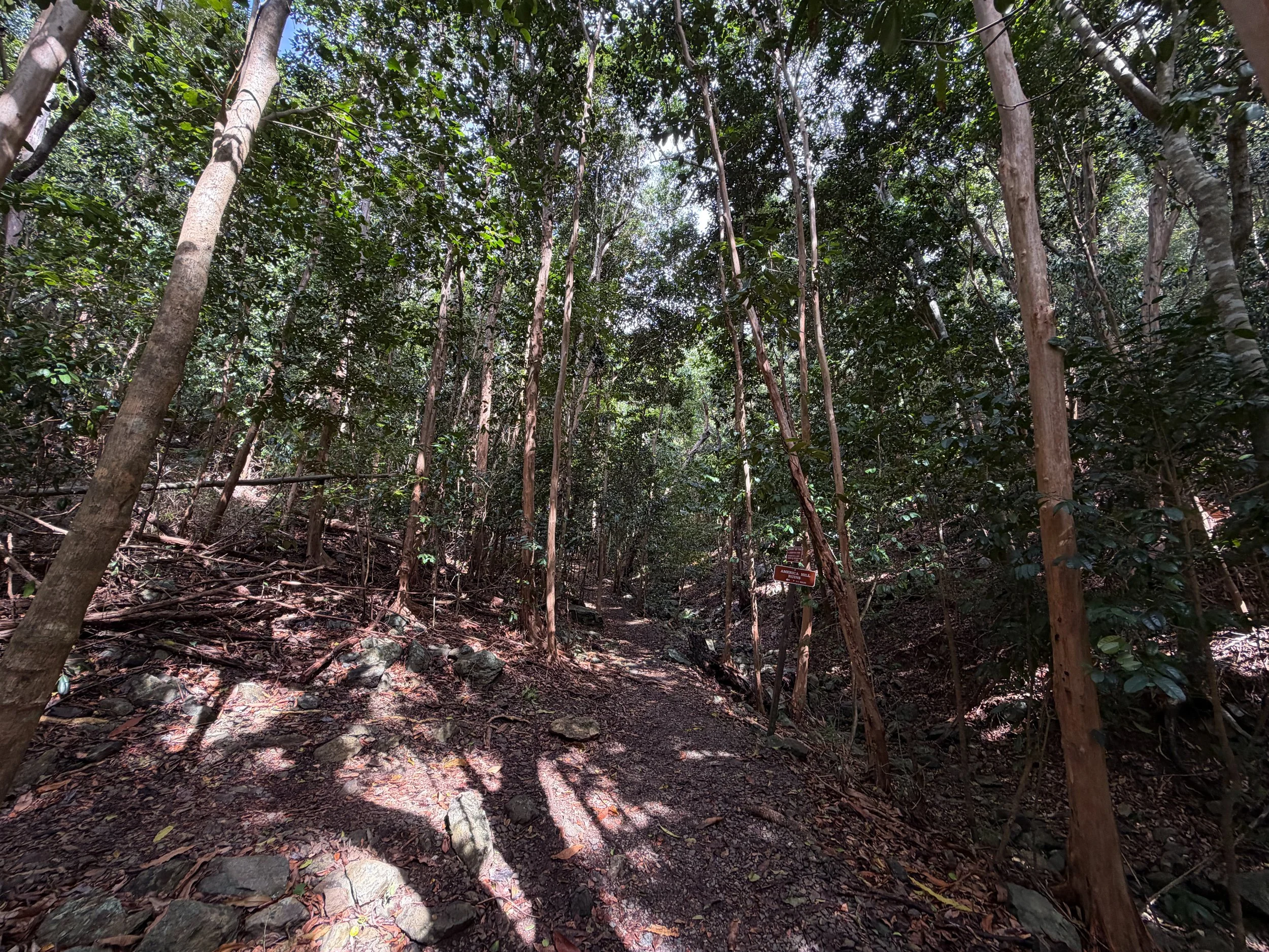America Hill Hike Virgin Islands National Park