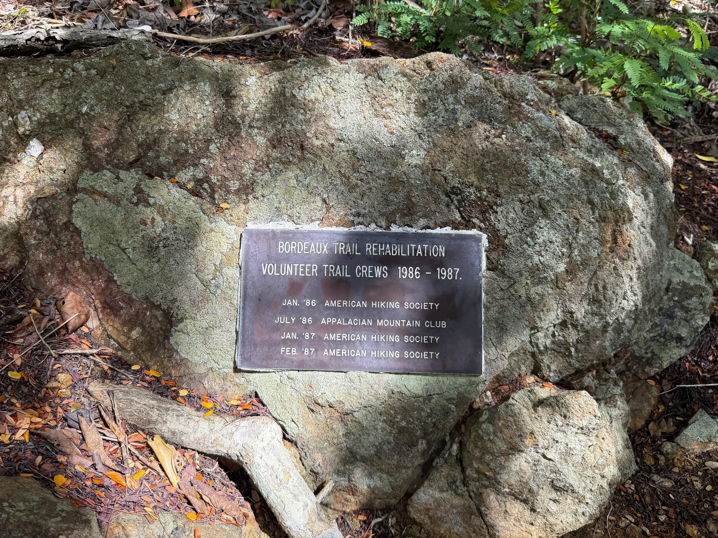 Bordeaux Mountain Trail Virgin Islands National Park