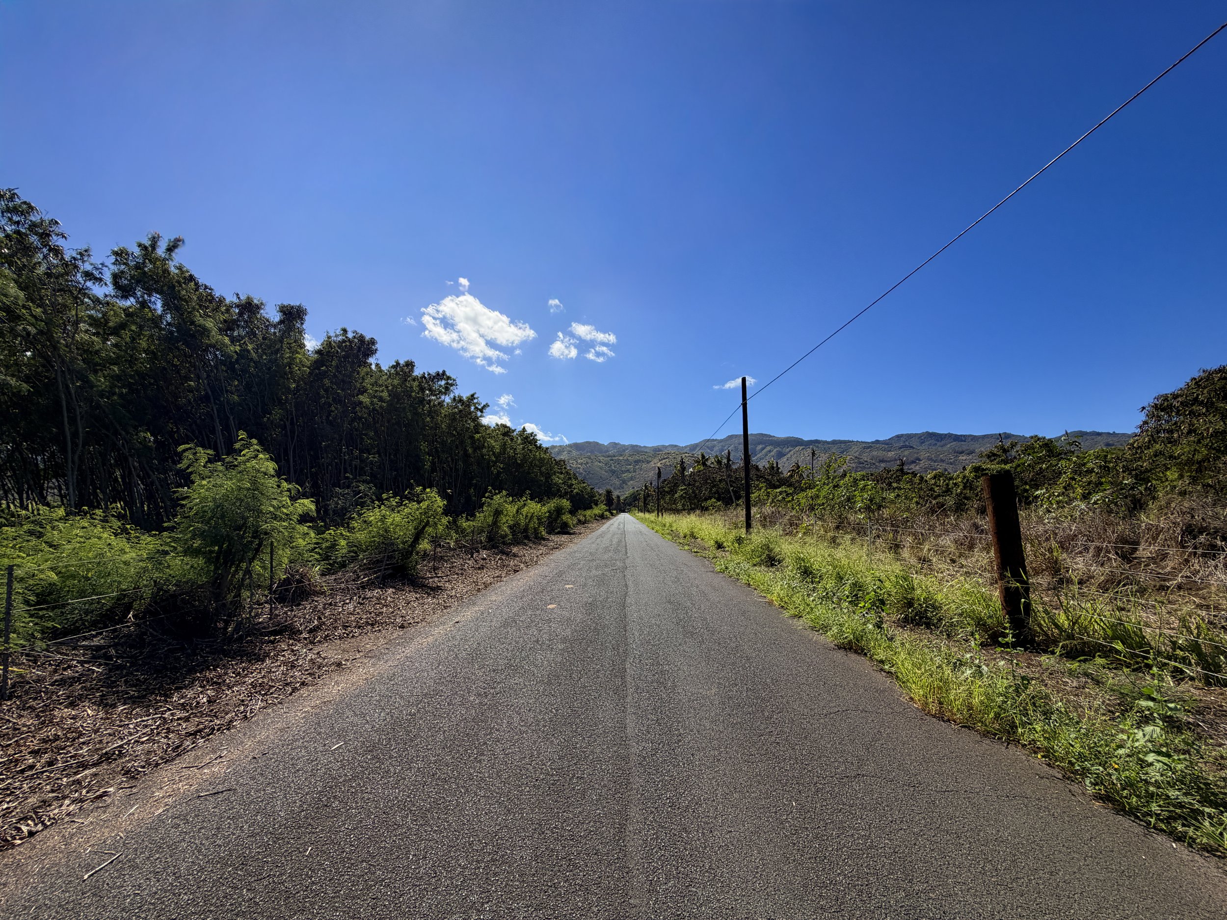 Mokuleia Forest Reserve Access Road Trail Oahu Hawaii
