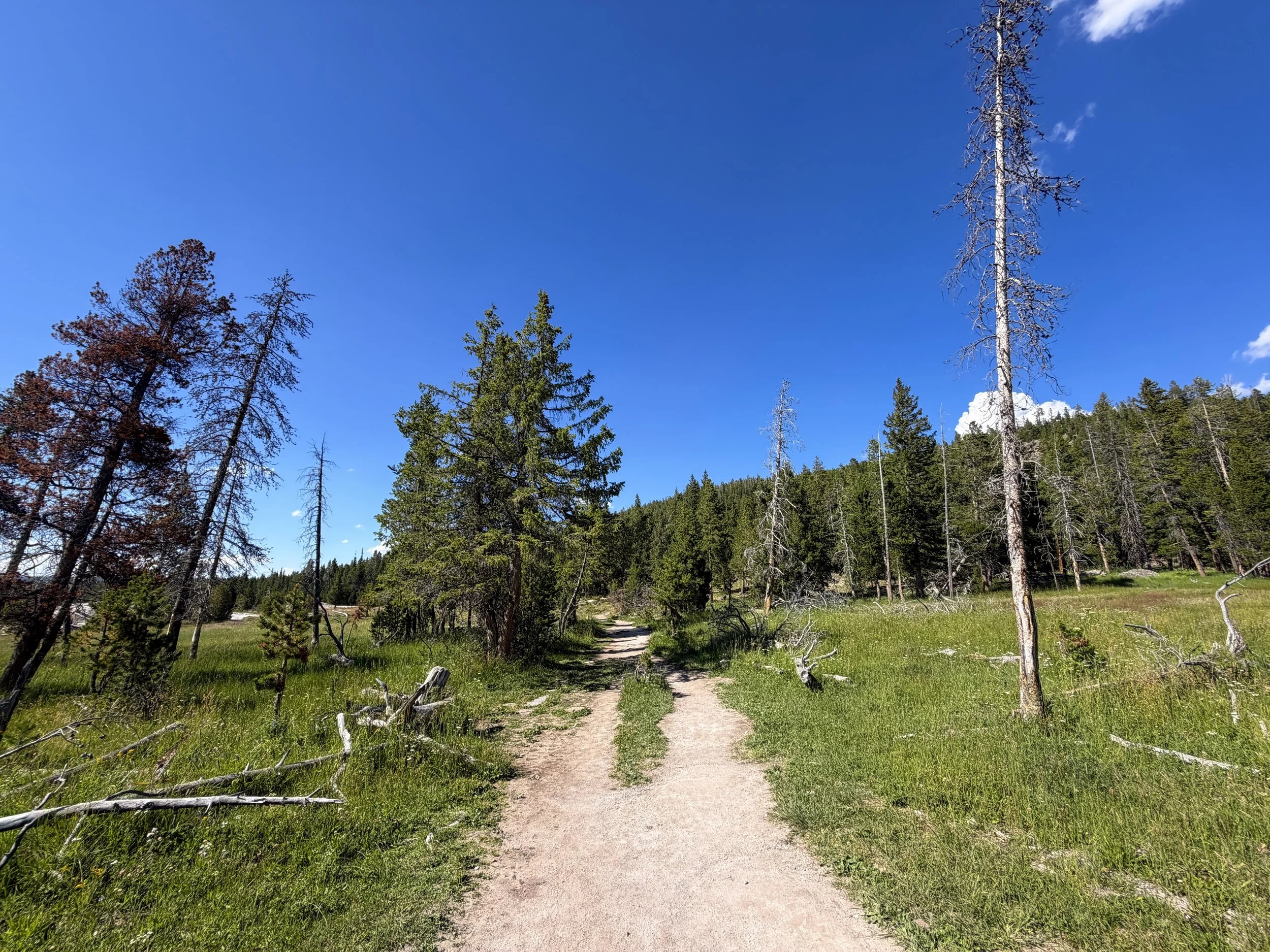 Observation Point Trail Yellowstone National Park Wyoming