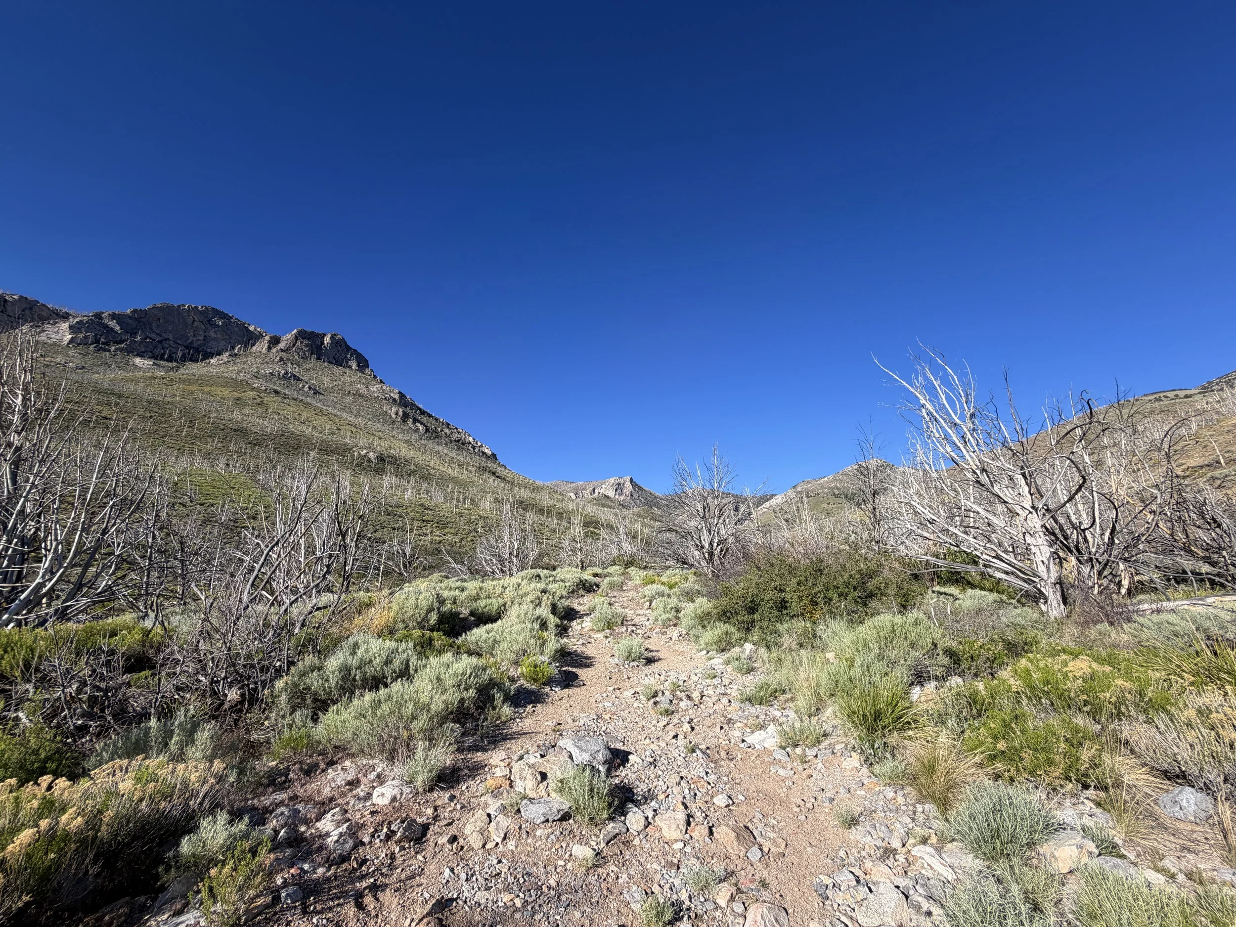 Lexington Arch Trail Great Basin National Park Nevada