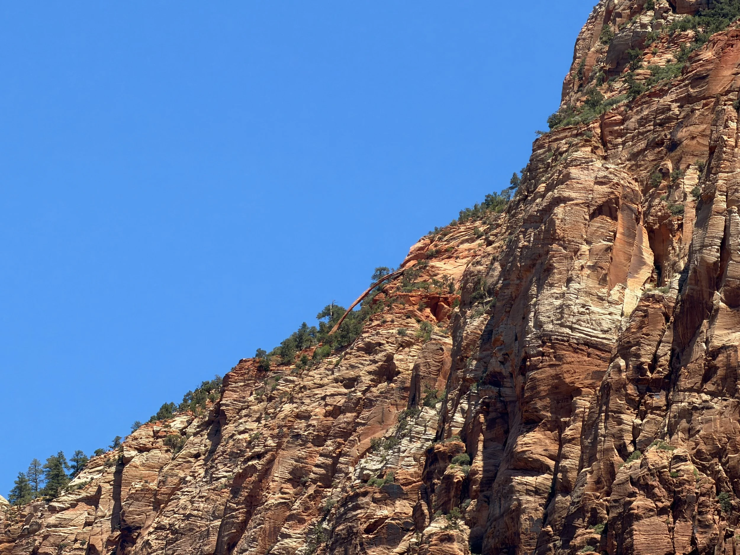 Crawford Arch Watchman Trail Zion National Park Utah