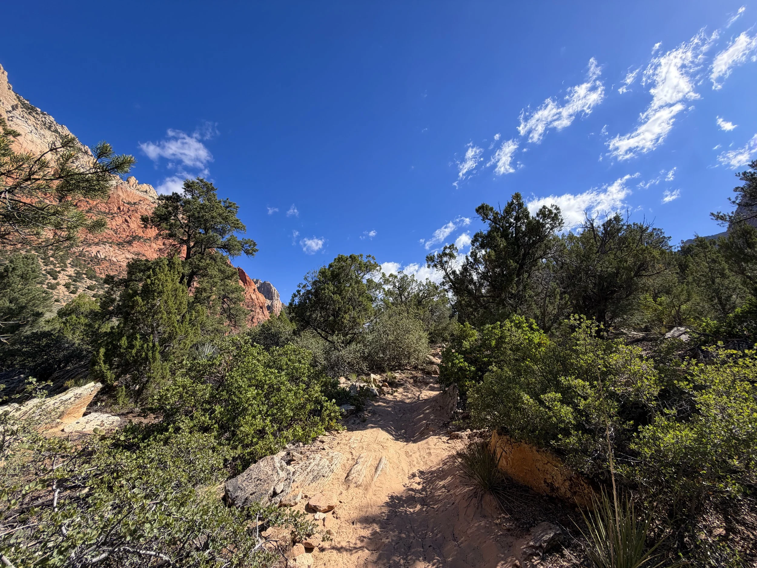 Sand Bench Trail Zion National Park Utah