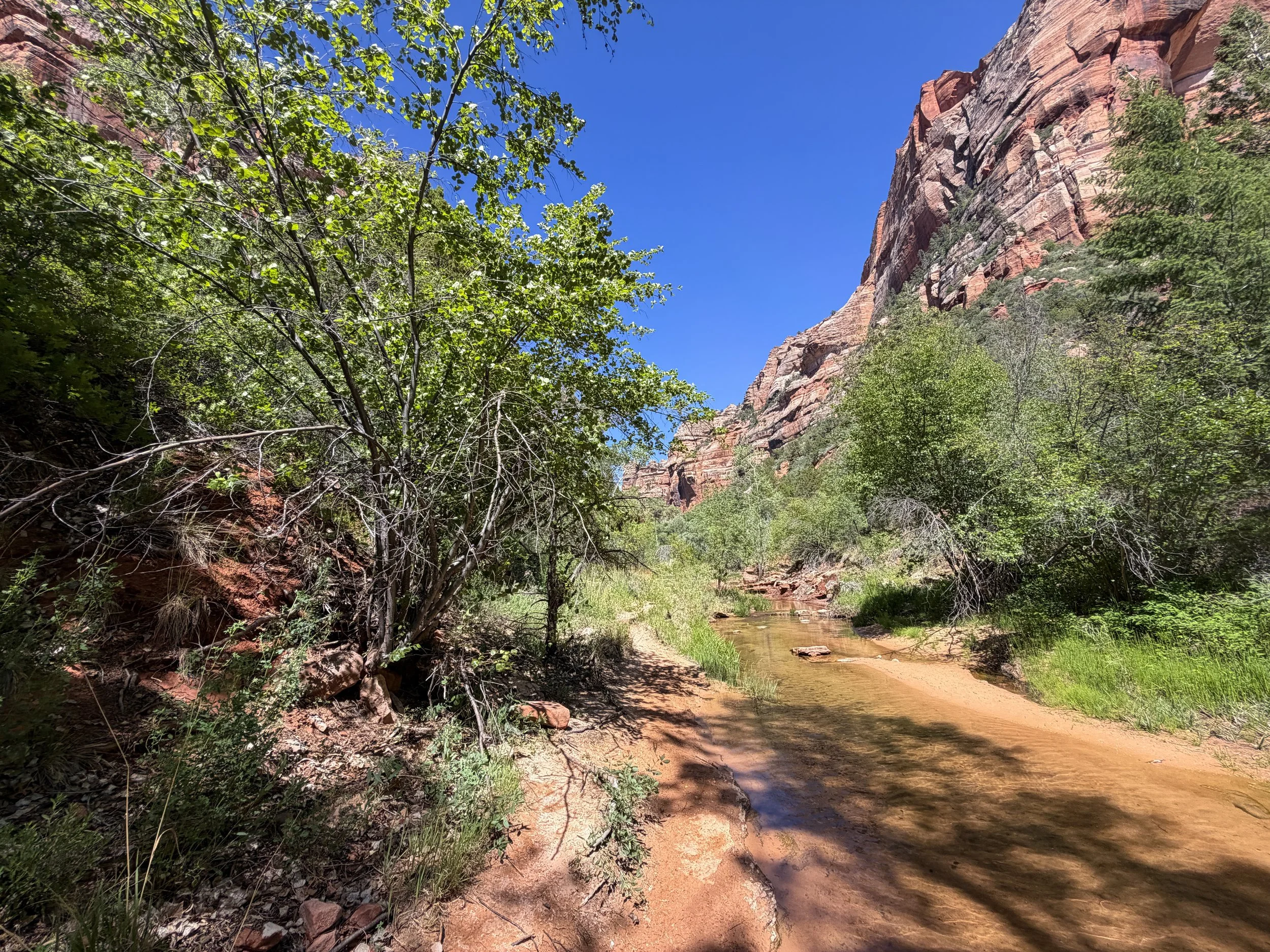 Subway Trail Left Fork North Creek Zion National Park Utah