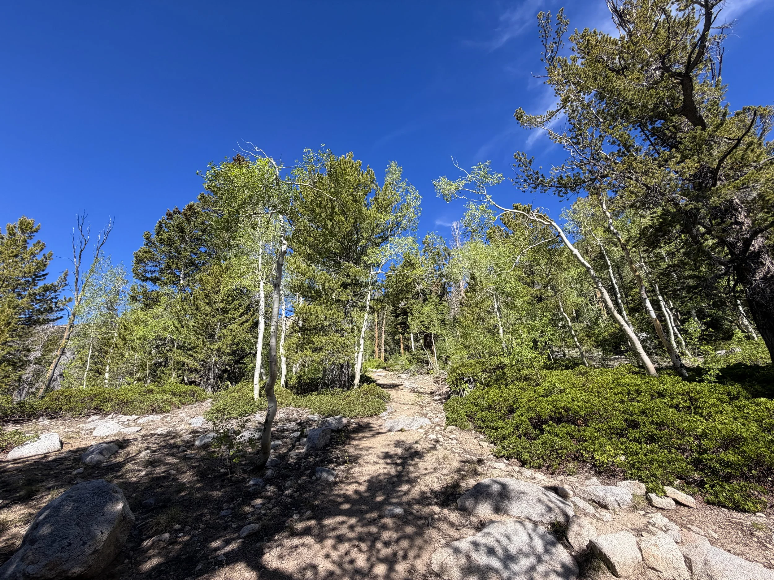 Johnson Lake Trail Great Basin National Park Nevada