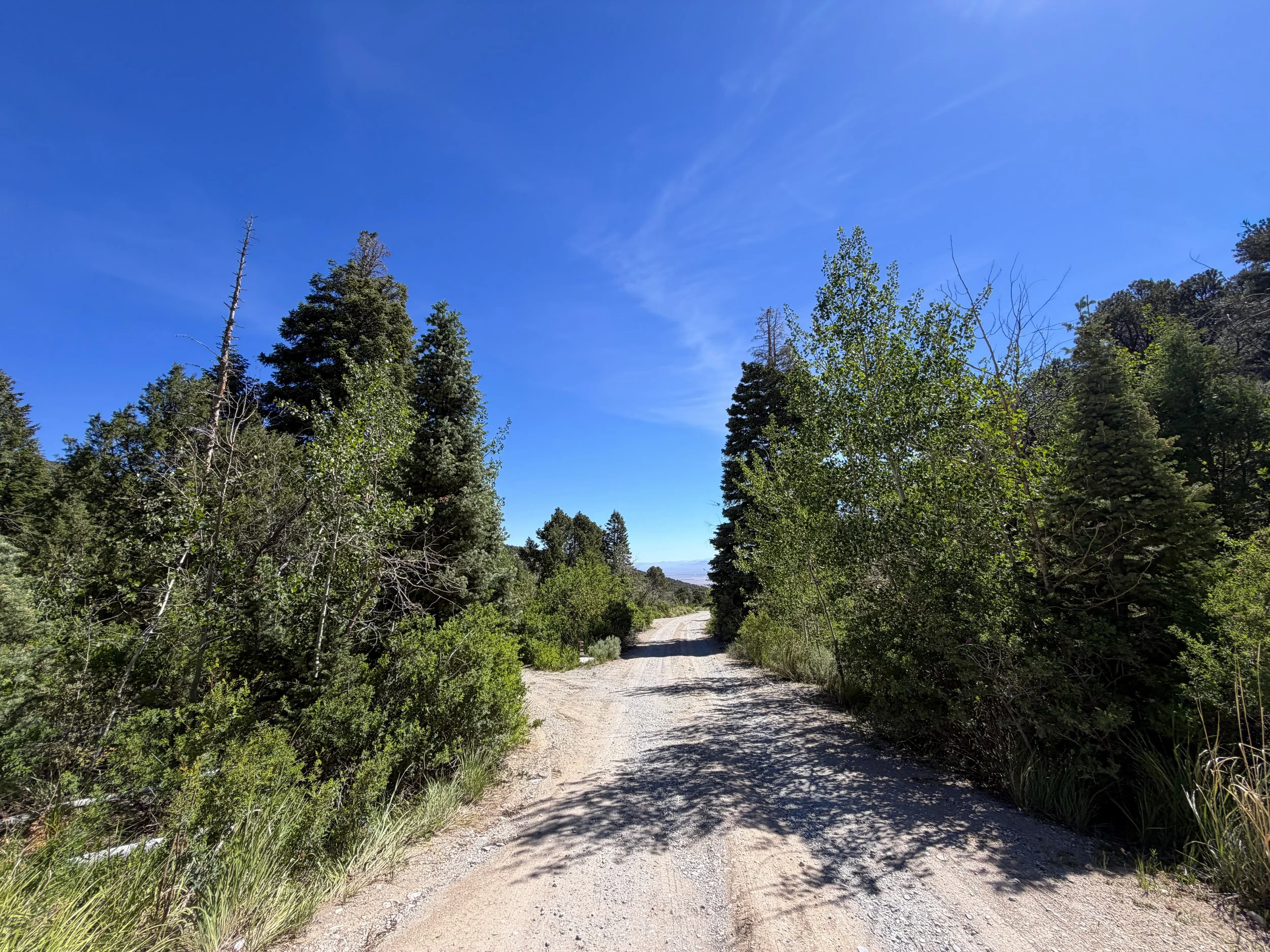 Baker Creek Campground Pole Canyon Trail Great Basin National Park Nevada